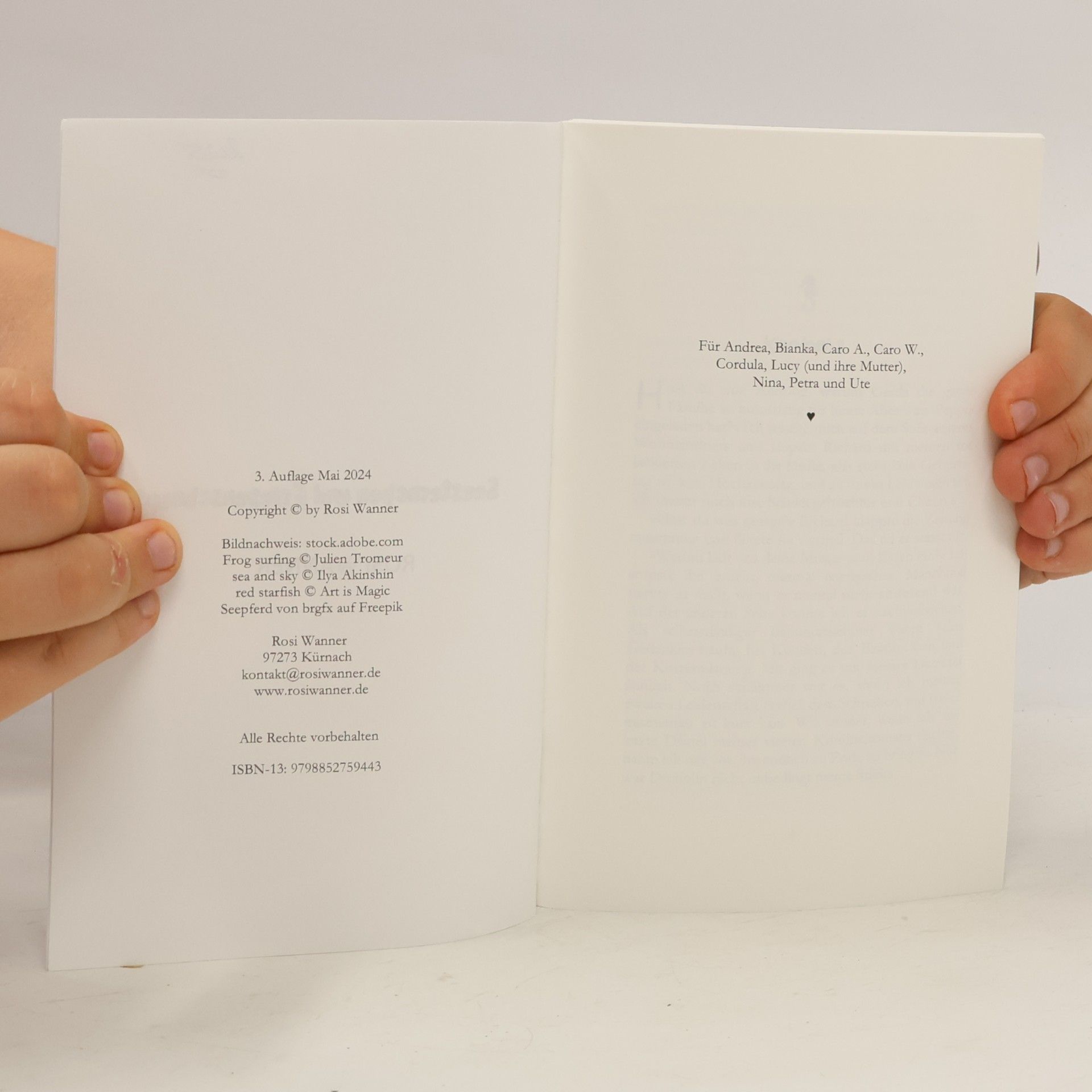 Rosi Wanner Luise - 6: Seesternchen und Friesenschnaps