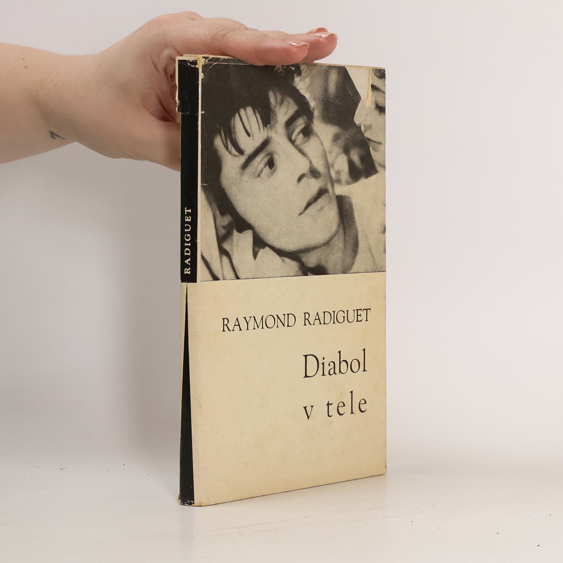 Raymond Radiguet Diabol v tele