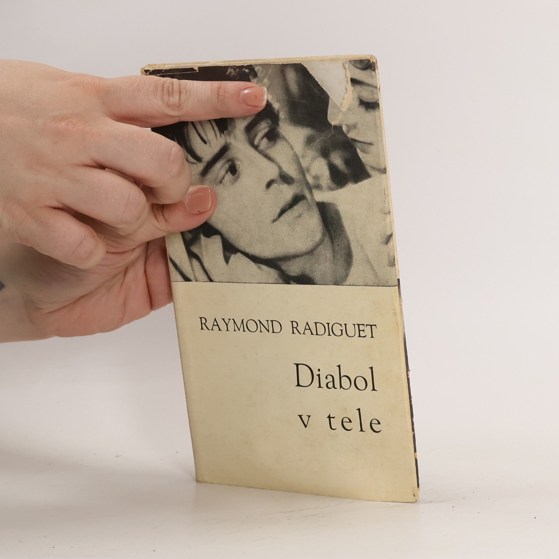 Raymond Radiguet Diabol v tele