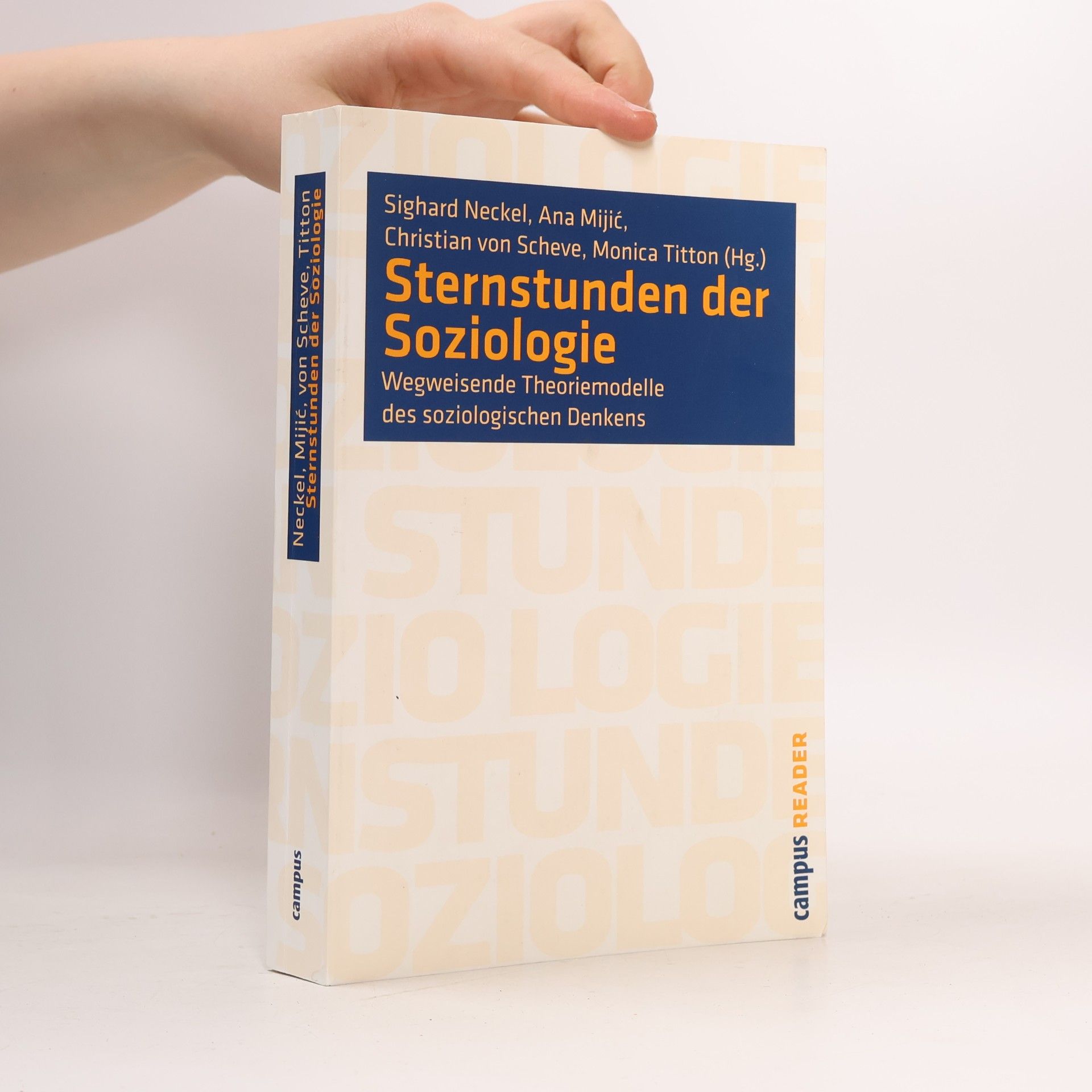 Sighard Neckel Sternstunden der Soziologie