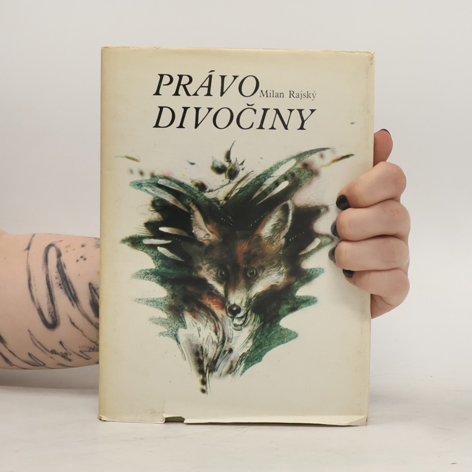 Milan Rajský Právo divočiny