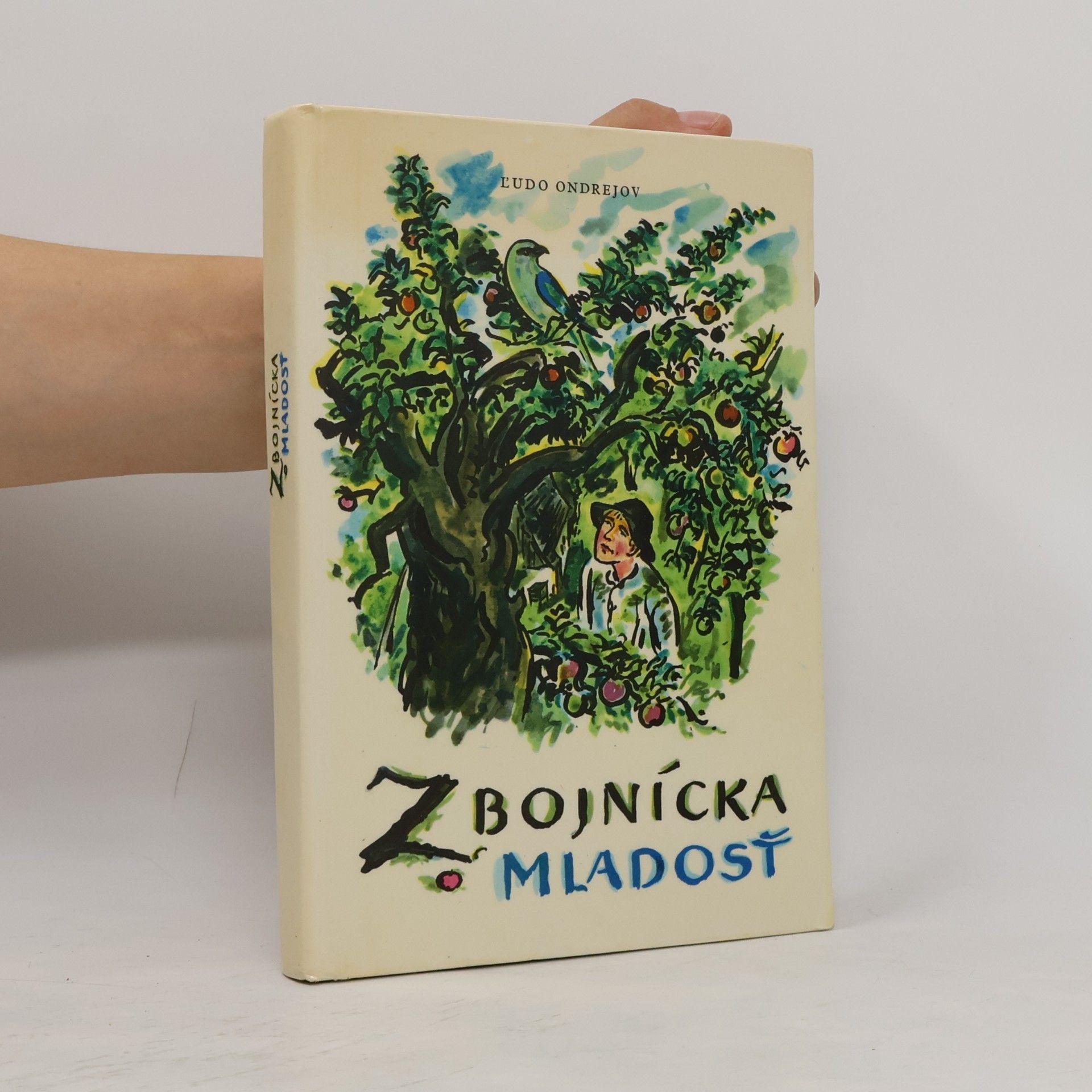 Zbojnícka mladosť