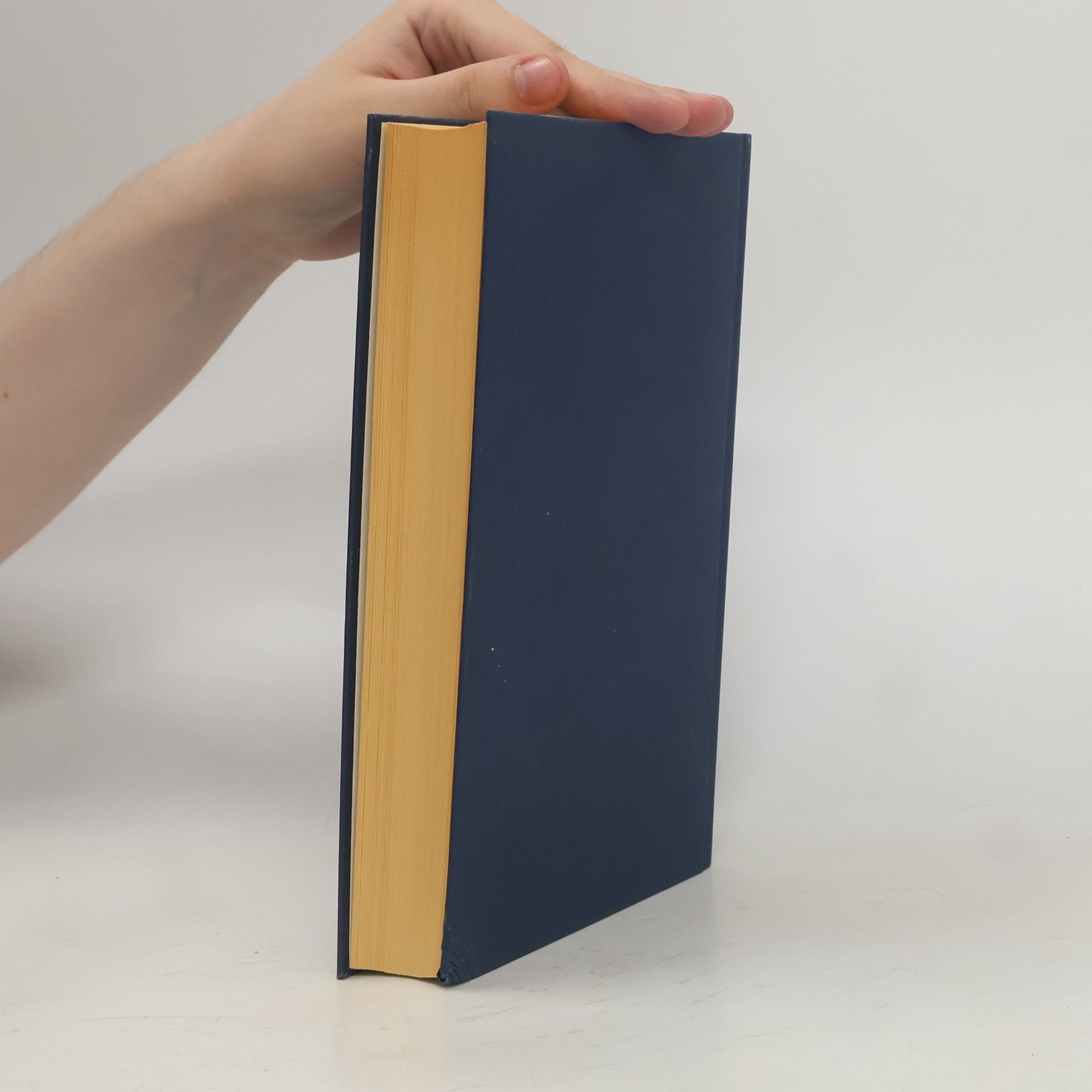 Sabine Kornbichler Majas Buch