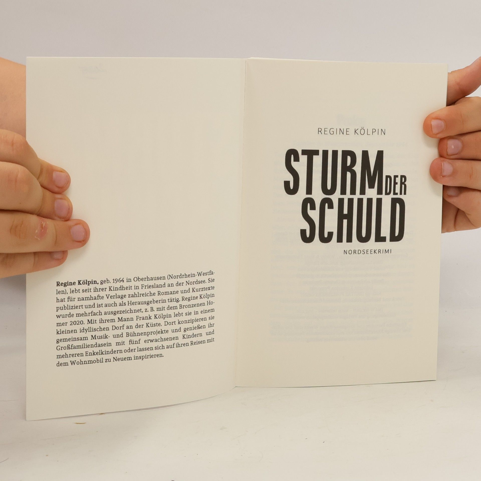Regine Kölpin Sturm der Schuld