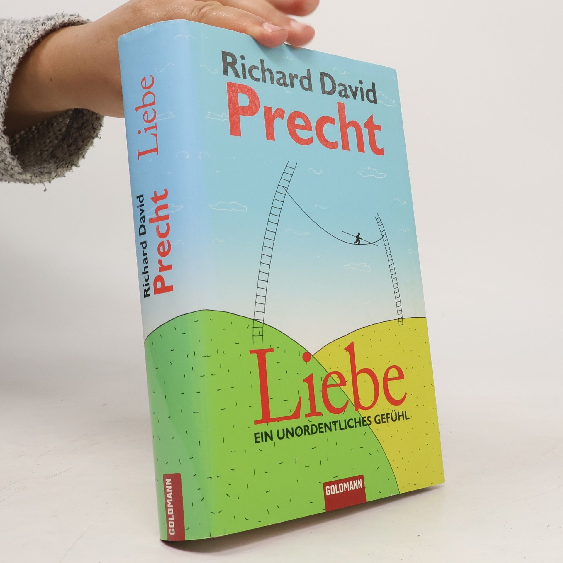 Richard David Precht Liebe ein Unordentliches Gefühl