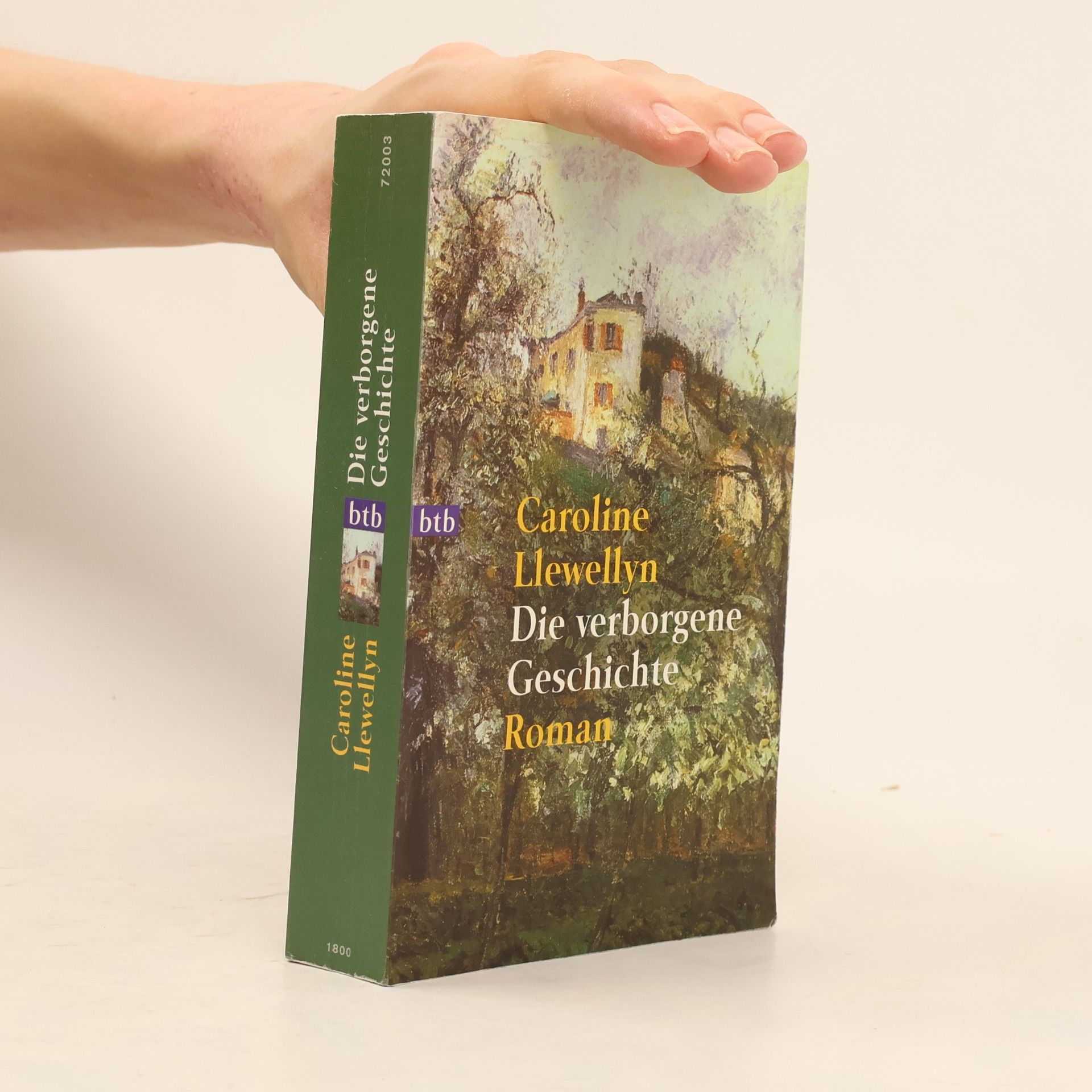 Caroline Llewellyn Die verborgene Deschichte