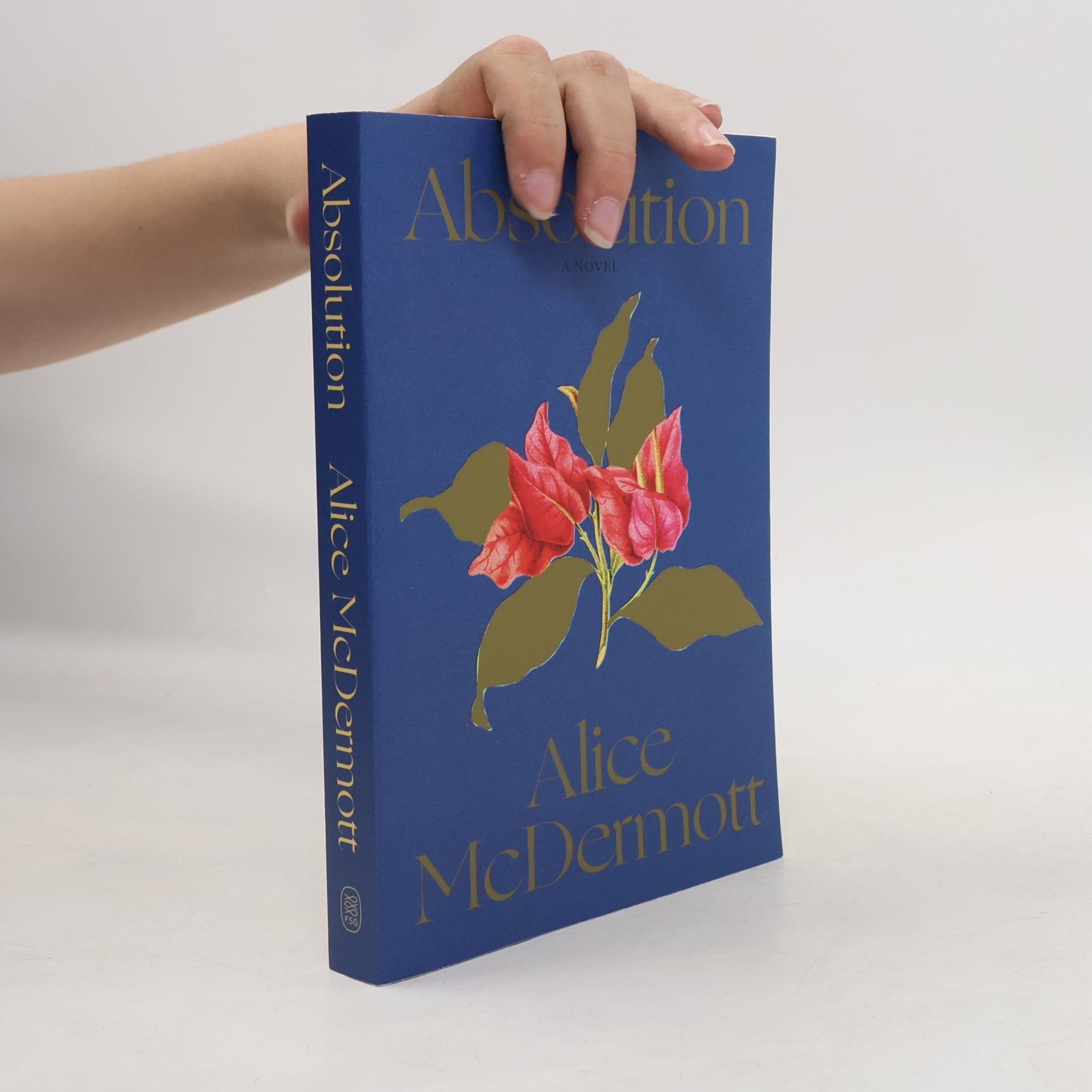 McDermott Alice Absolution