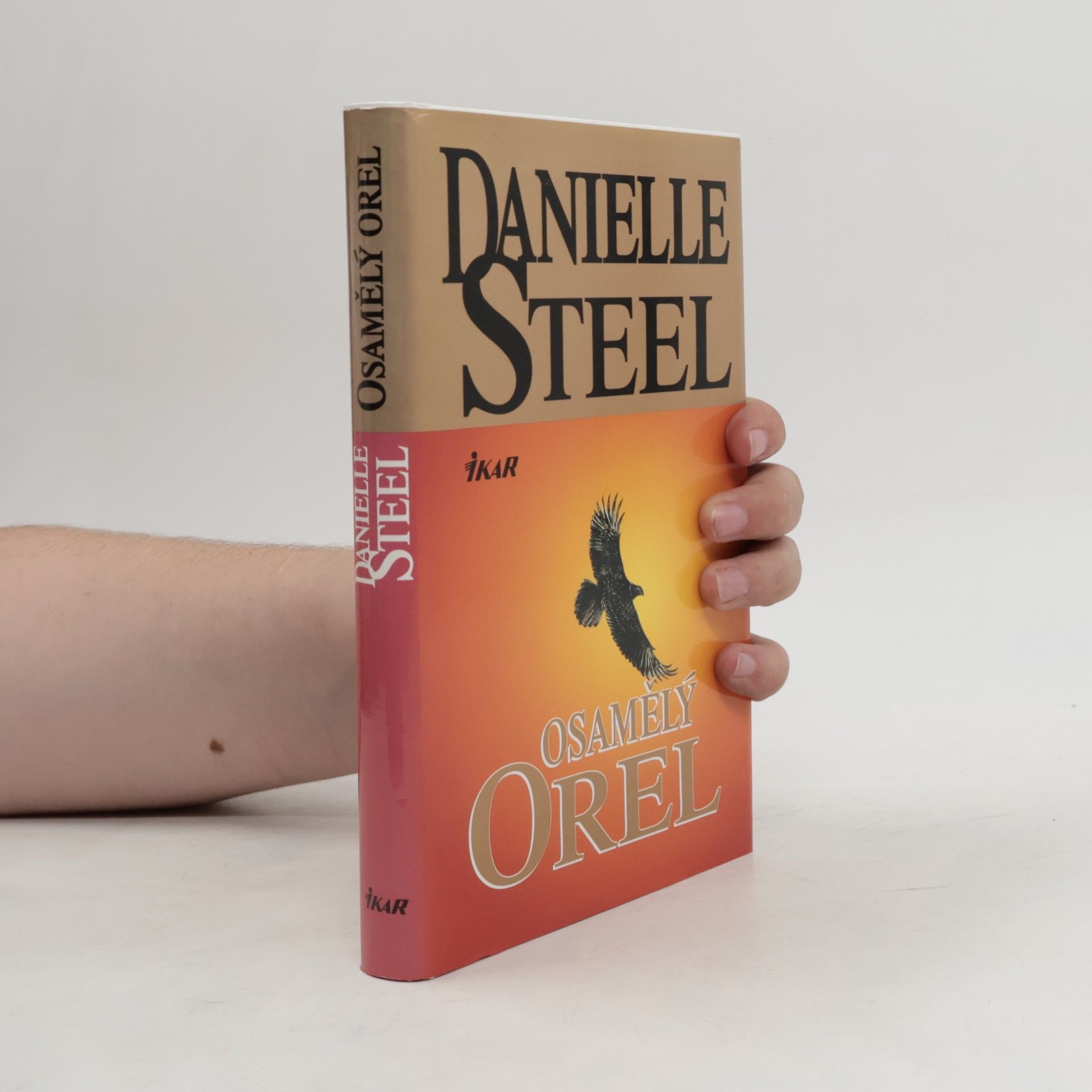 Danielle Steel Osamělý orel