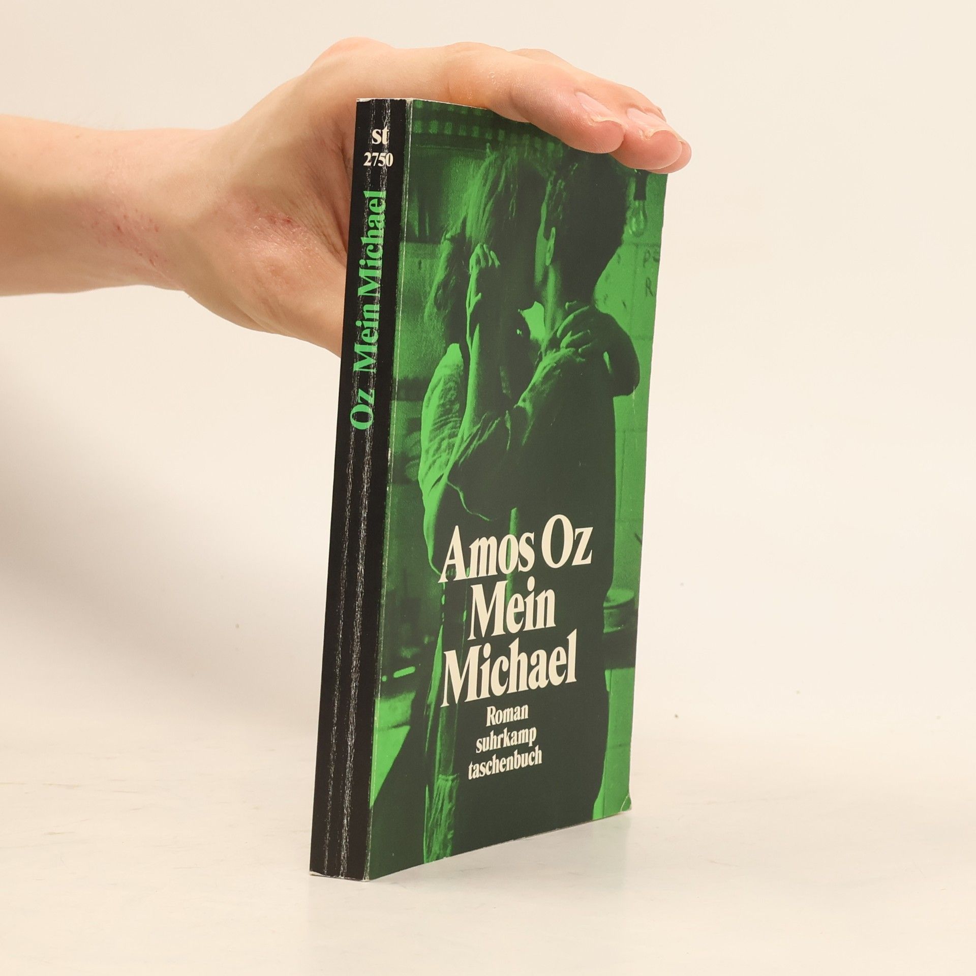 Amos Oz Mein Michael