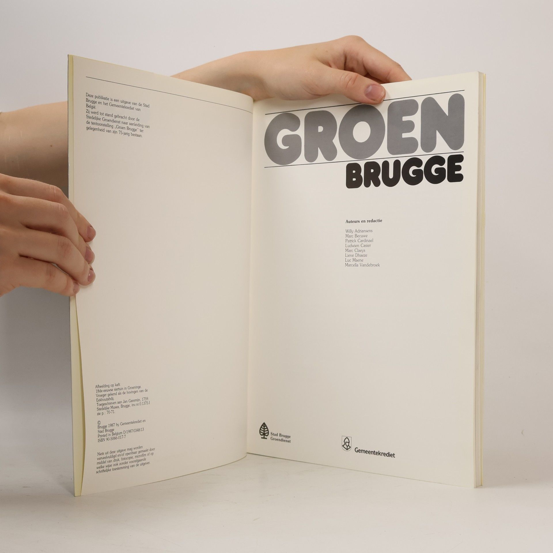 Willy Adriansens Groen Brugge