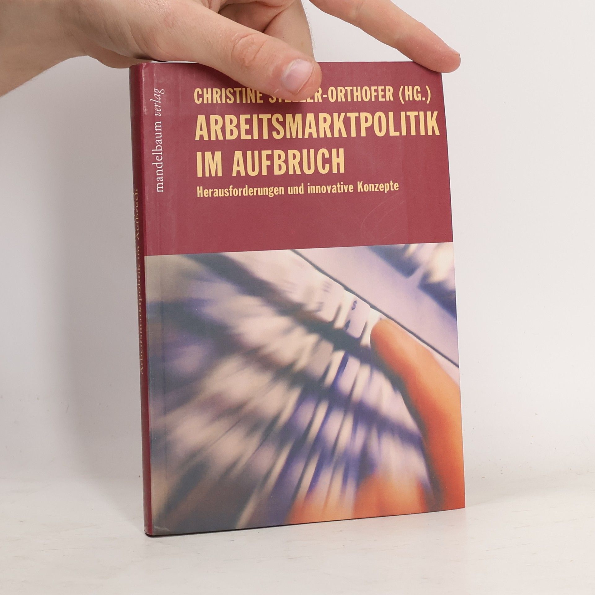 Christine Stelzer-Orthofer Arbeitsmarktpolitik im Aufbruch