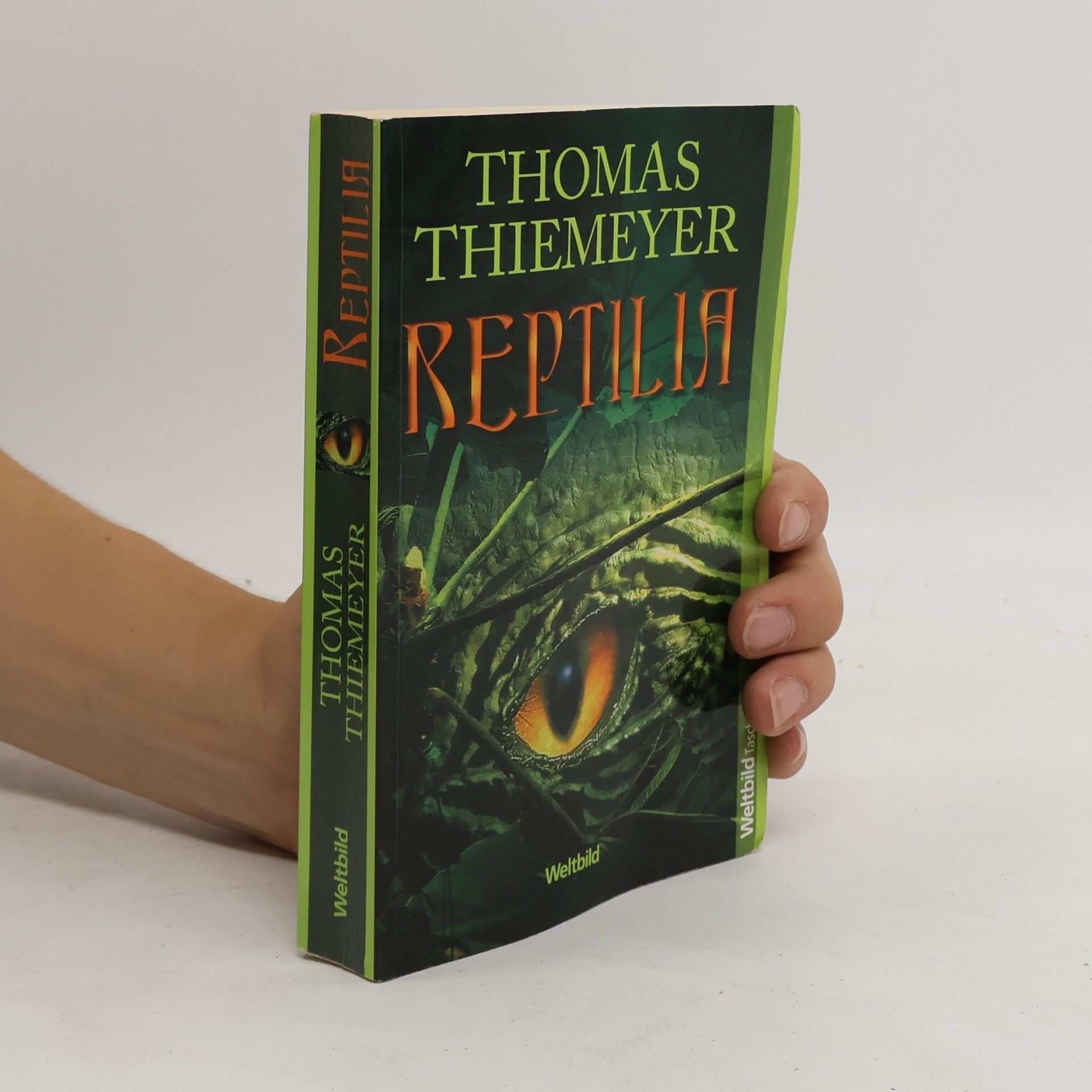 Thomas Thiemeier Reptilia