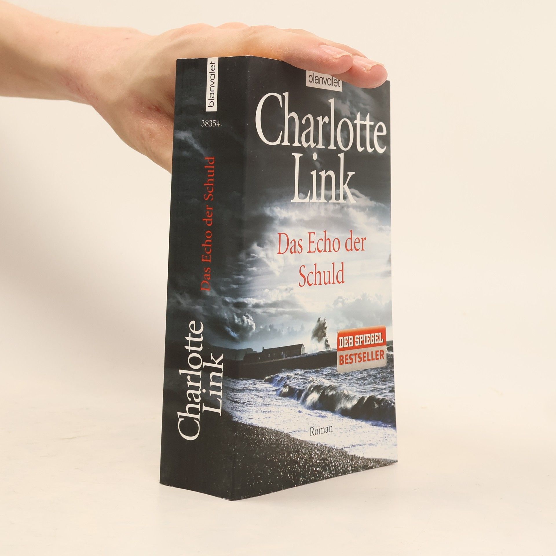 Charlotte Link Das Echo der Schuld