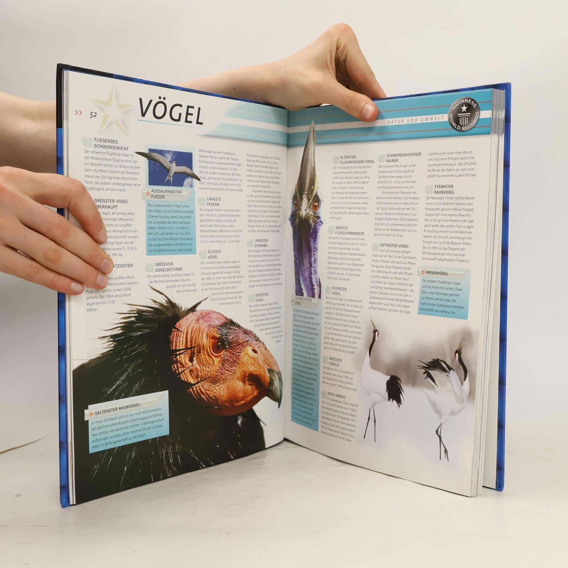 Autores varios Guinness World Records 2004