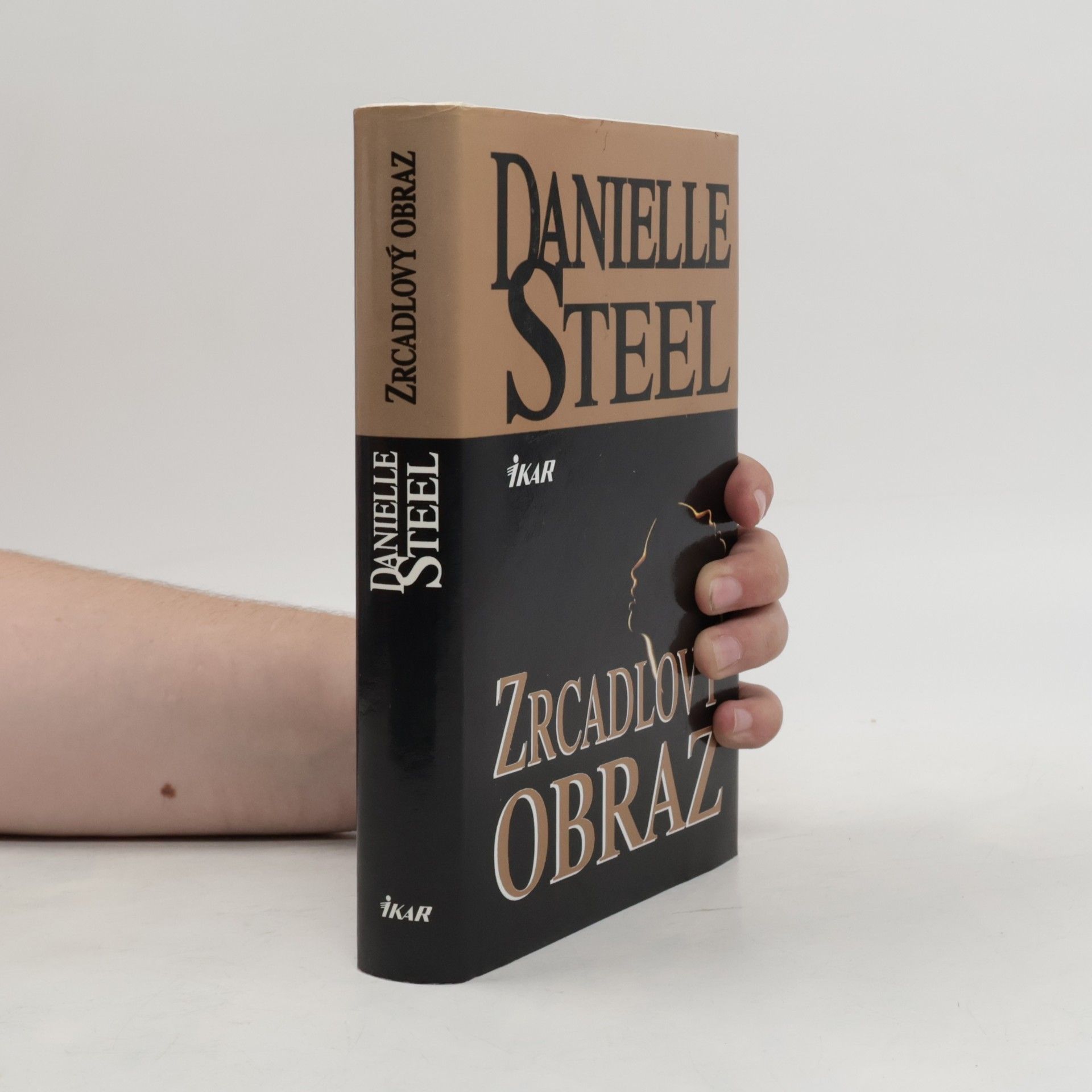 Danielle Steel Zrcadlový obraz