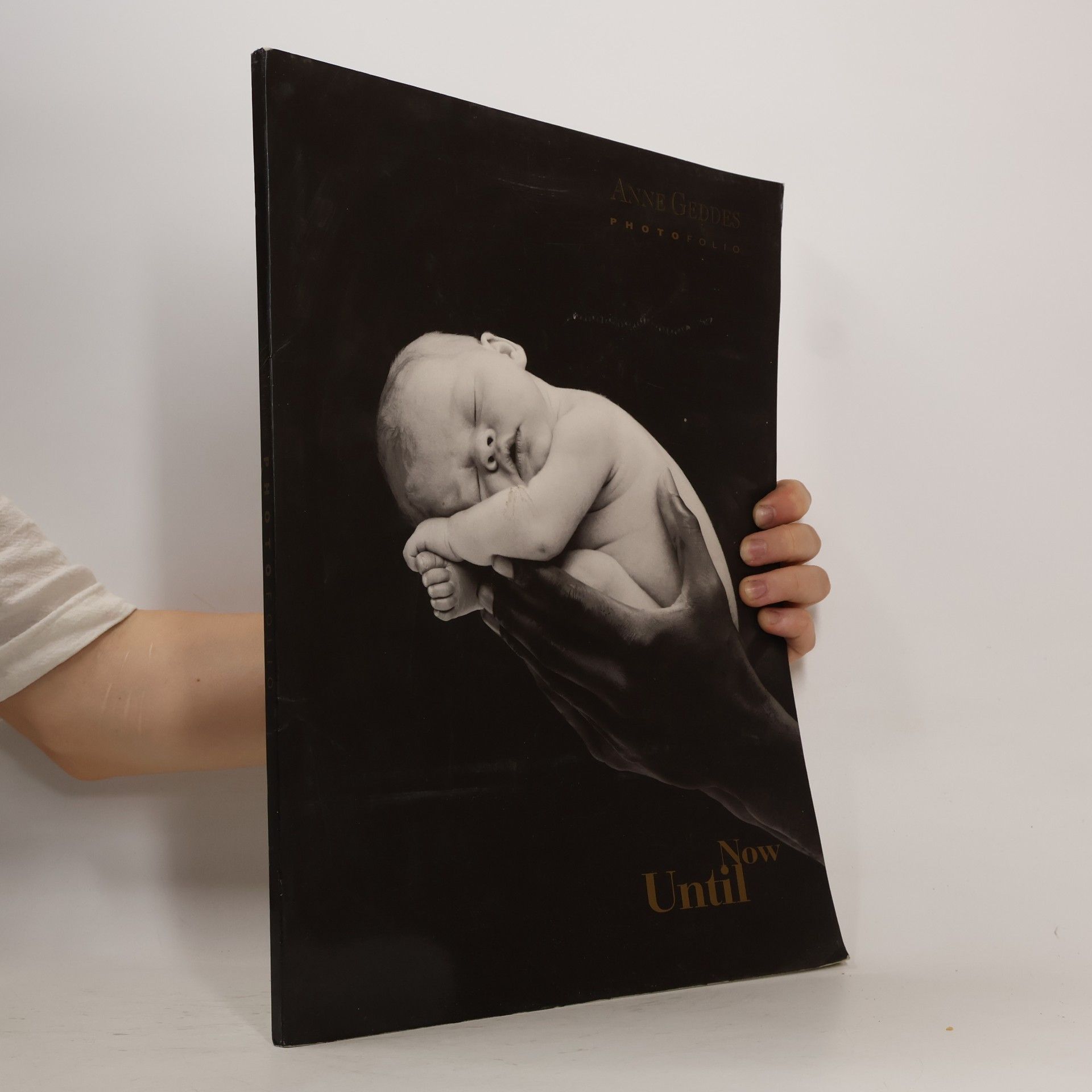 Anne Geddes Until Now
