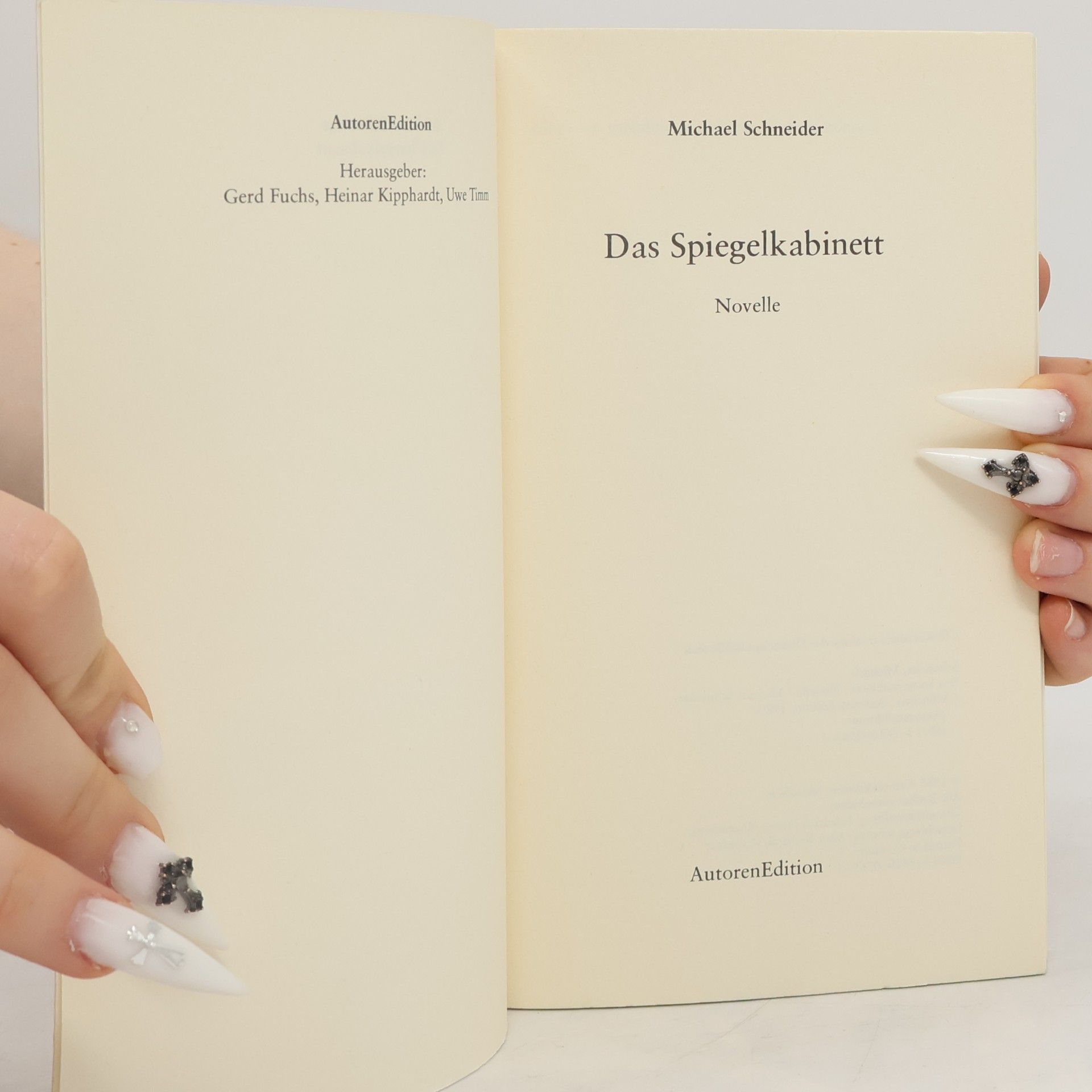 Michael Schneider Das Spiegelkabinett