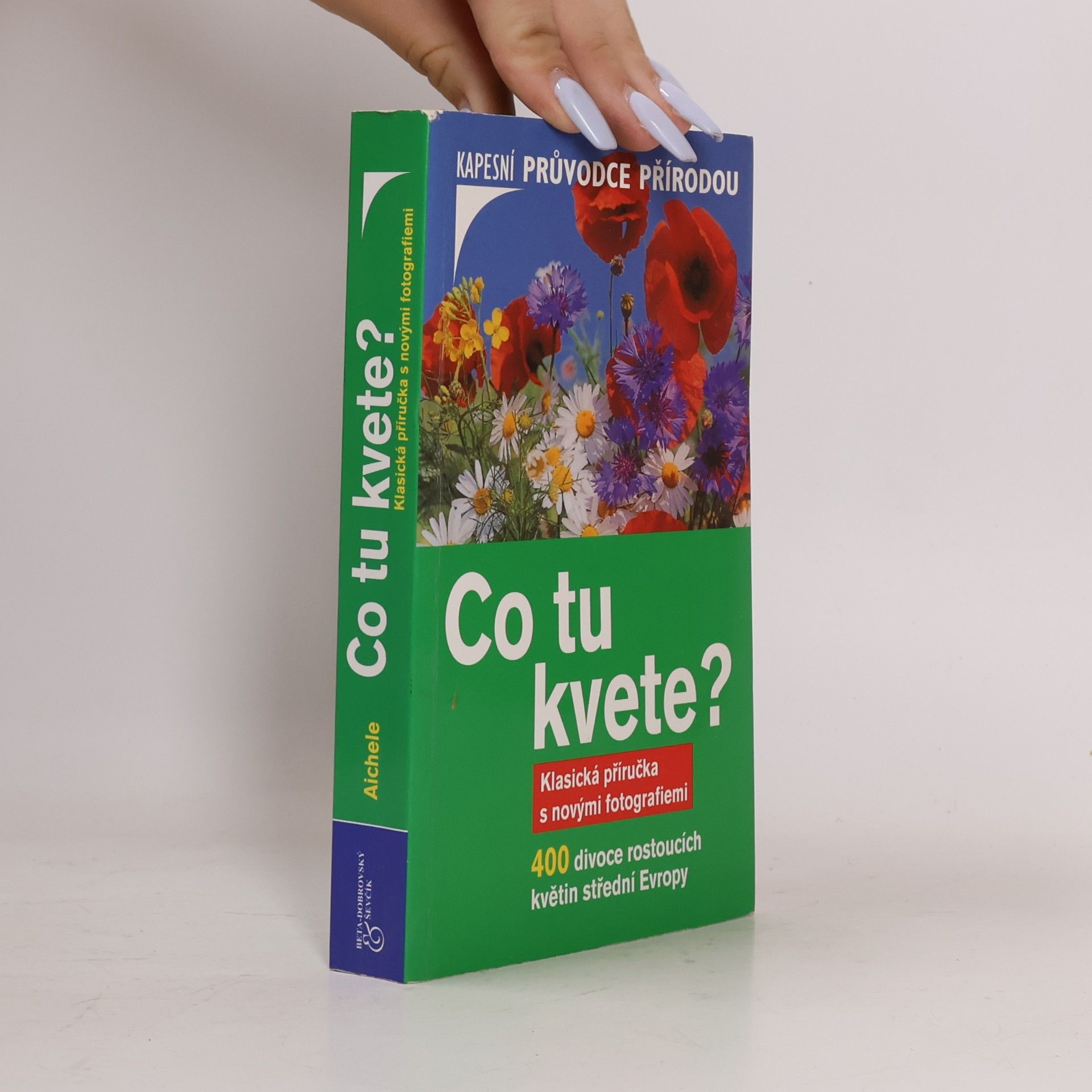 Dietmar Aichele Co tu kvete?