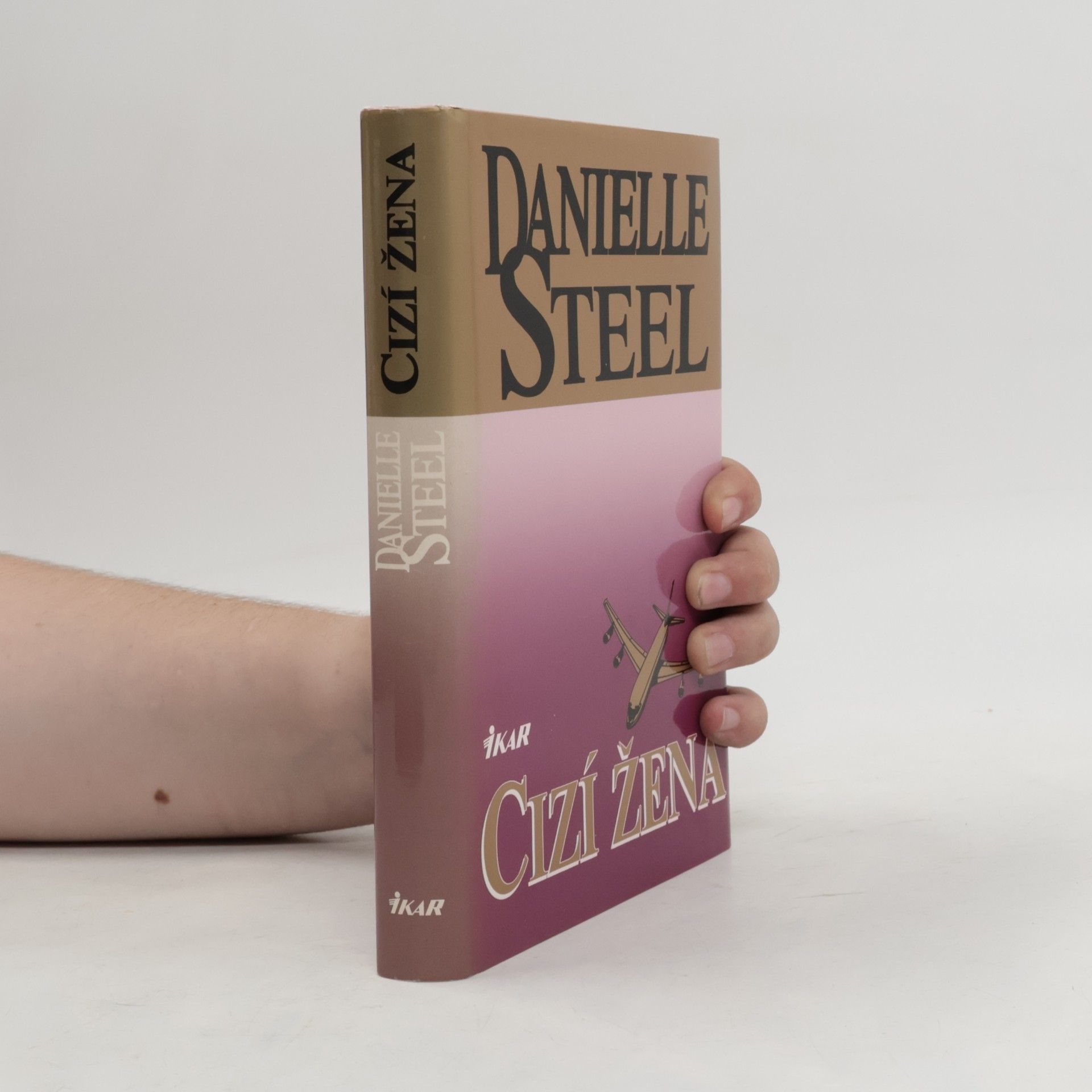 Danielle Steel Cizí žena