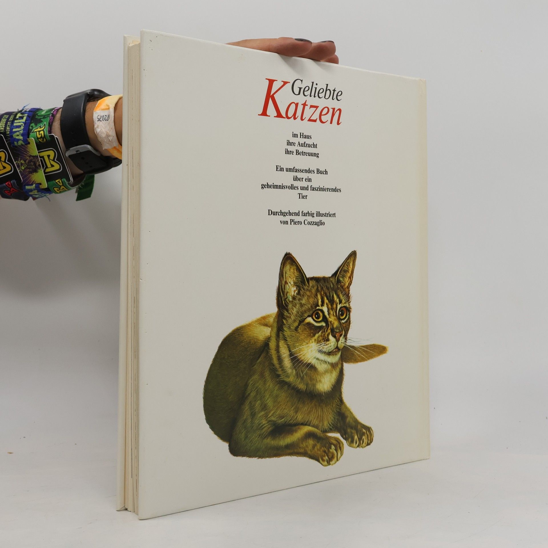 Eugenia Natoli Geliebte Katzen