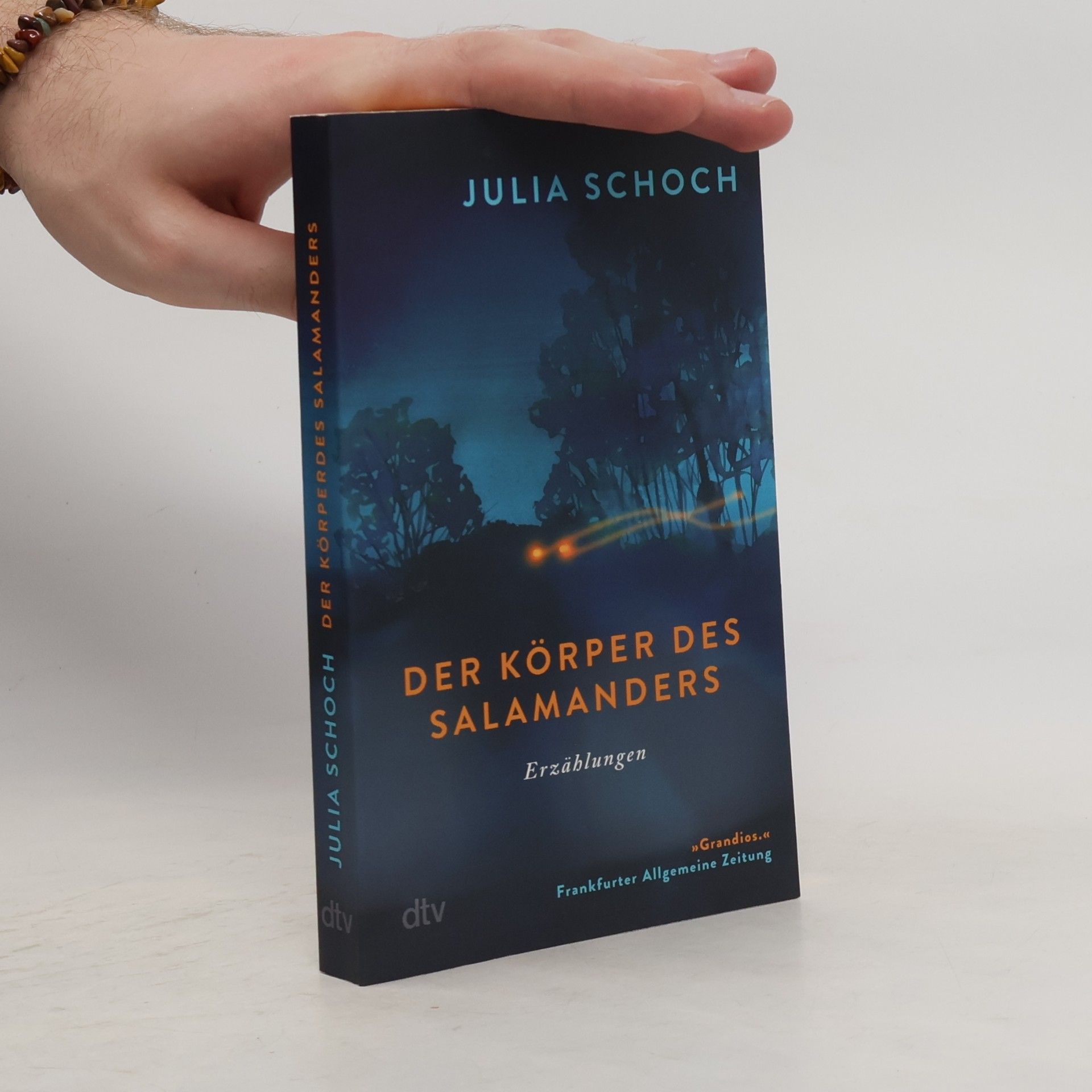 Julia Schoch Der Körper des Salamanders
