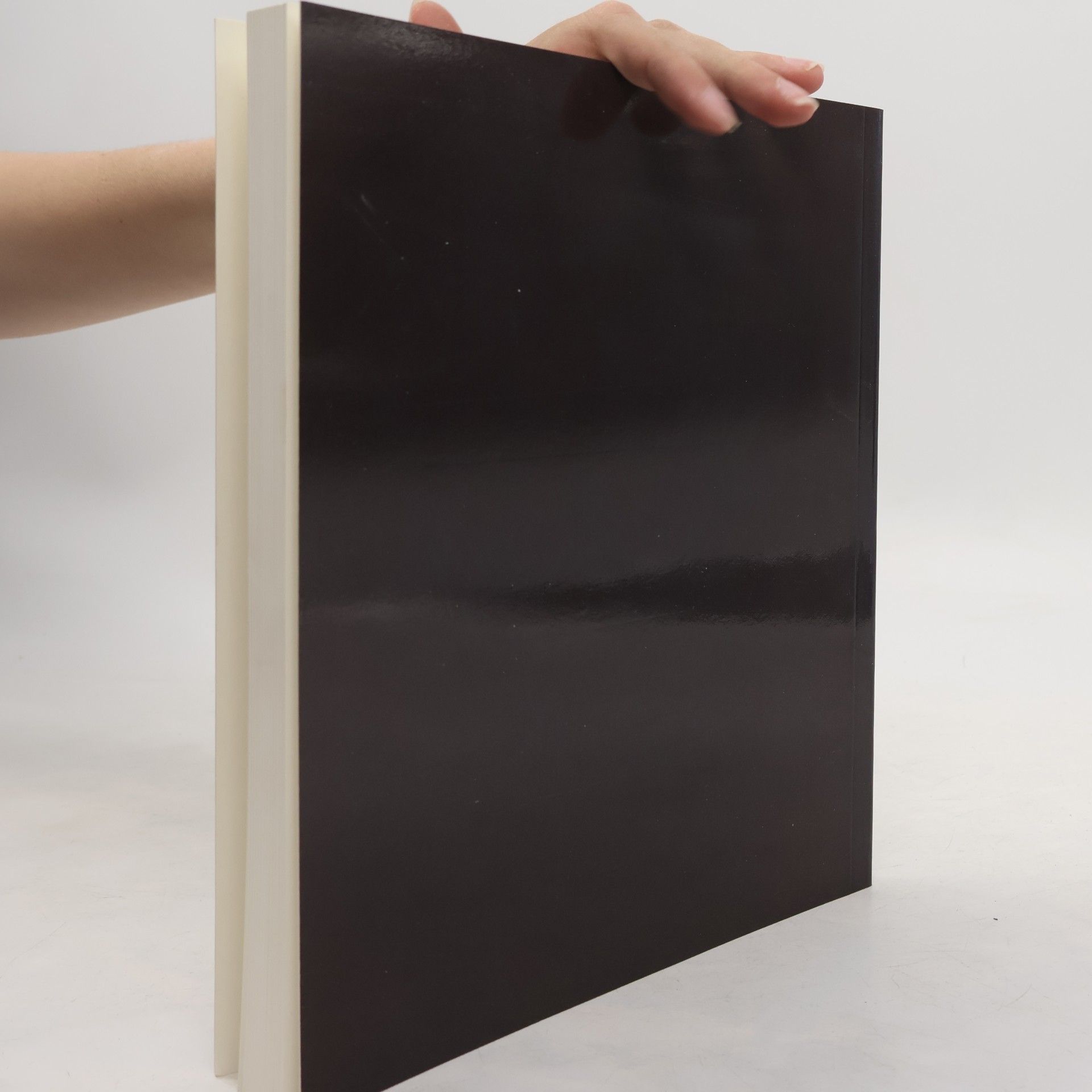 Various authors Die Botschaft der Graphik