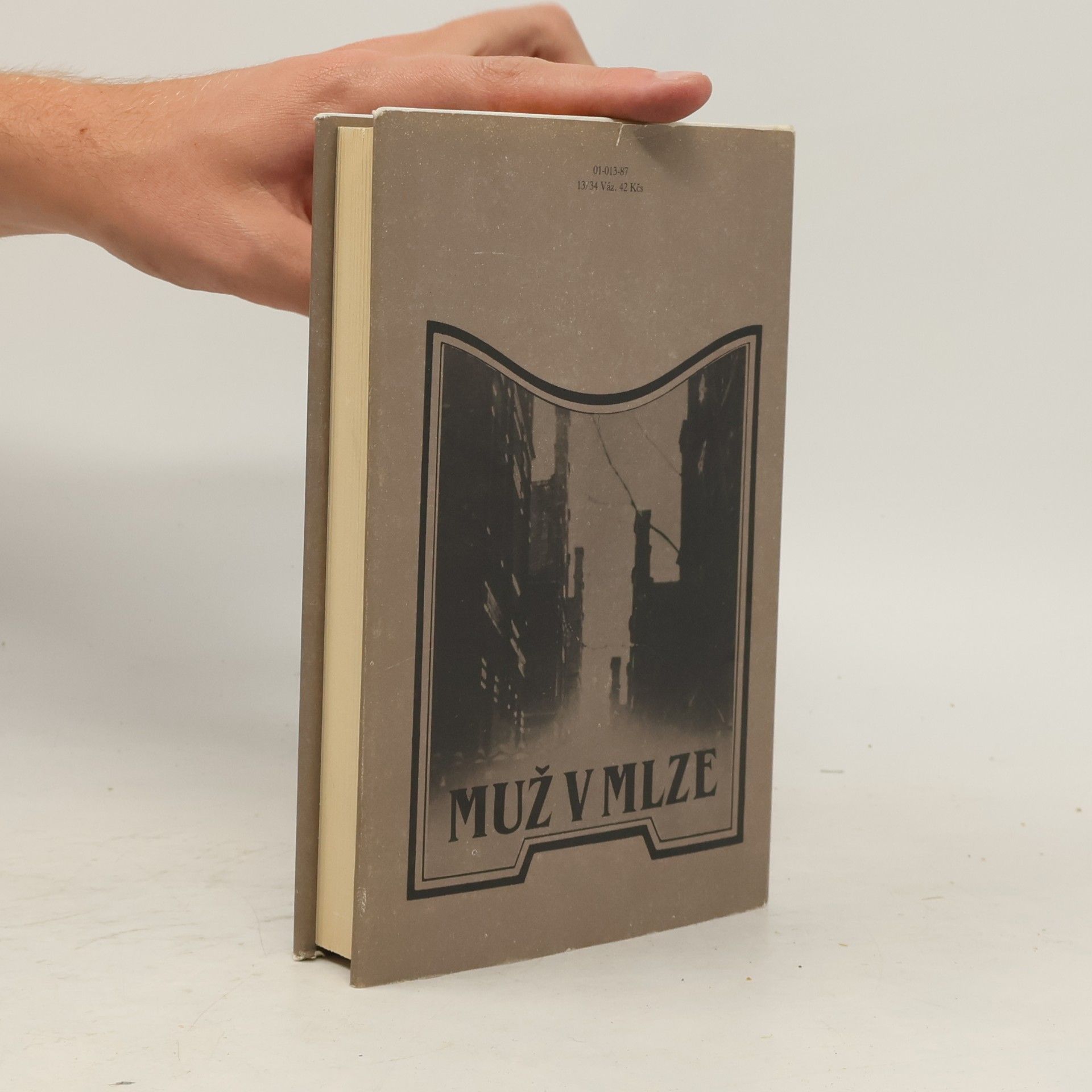 Agatha Christie Muž v mlze