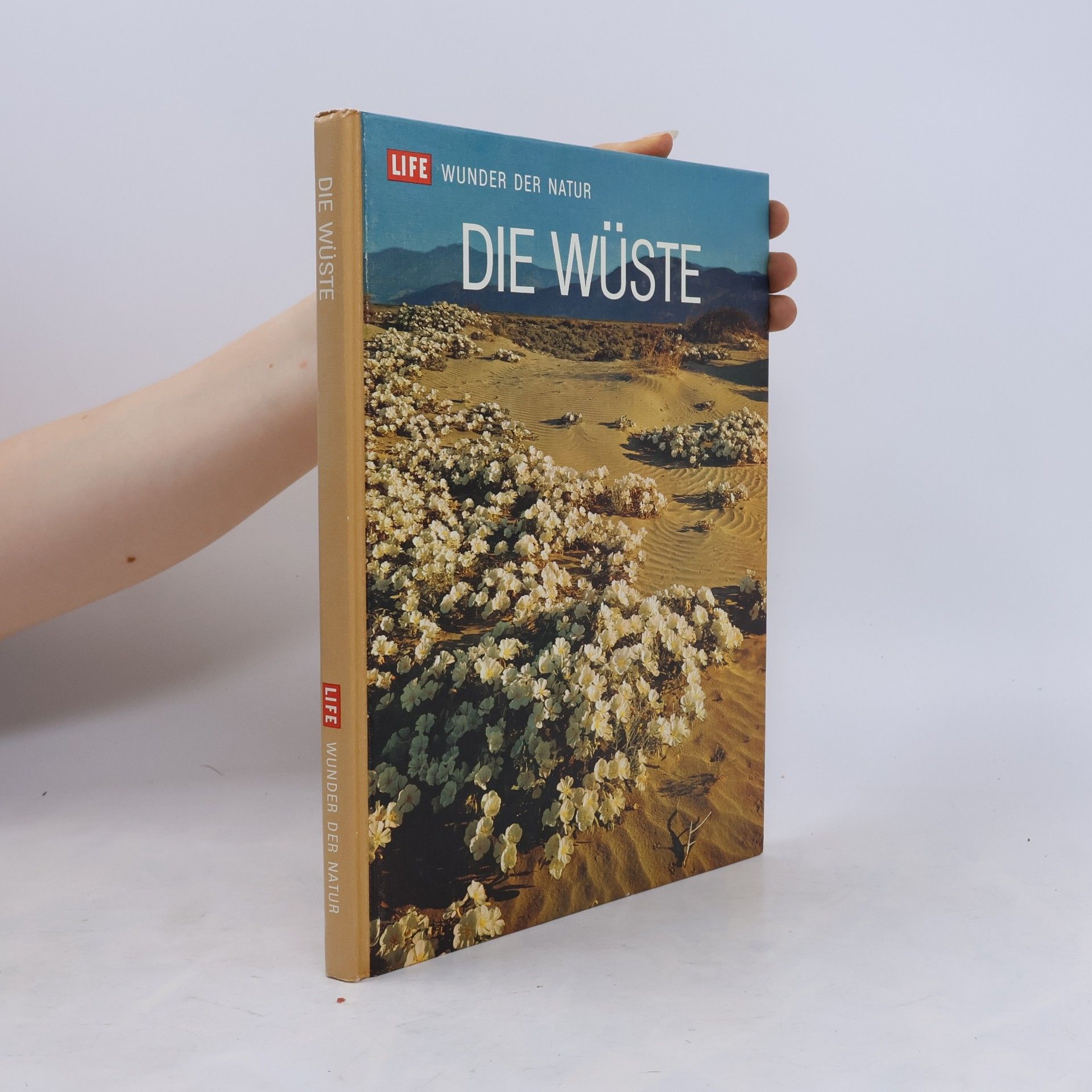 Auteurscollectief Die Wüste