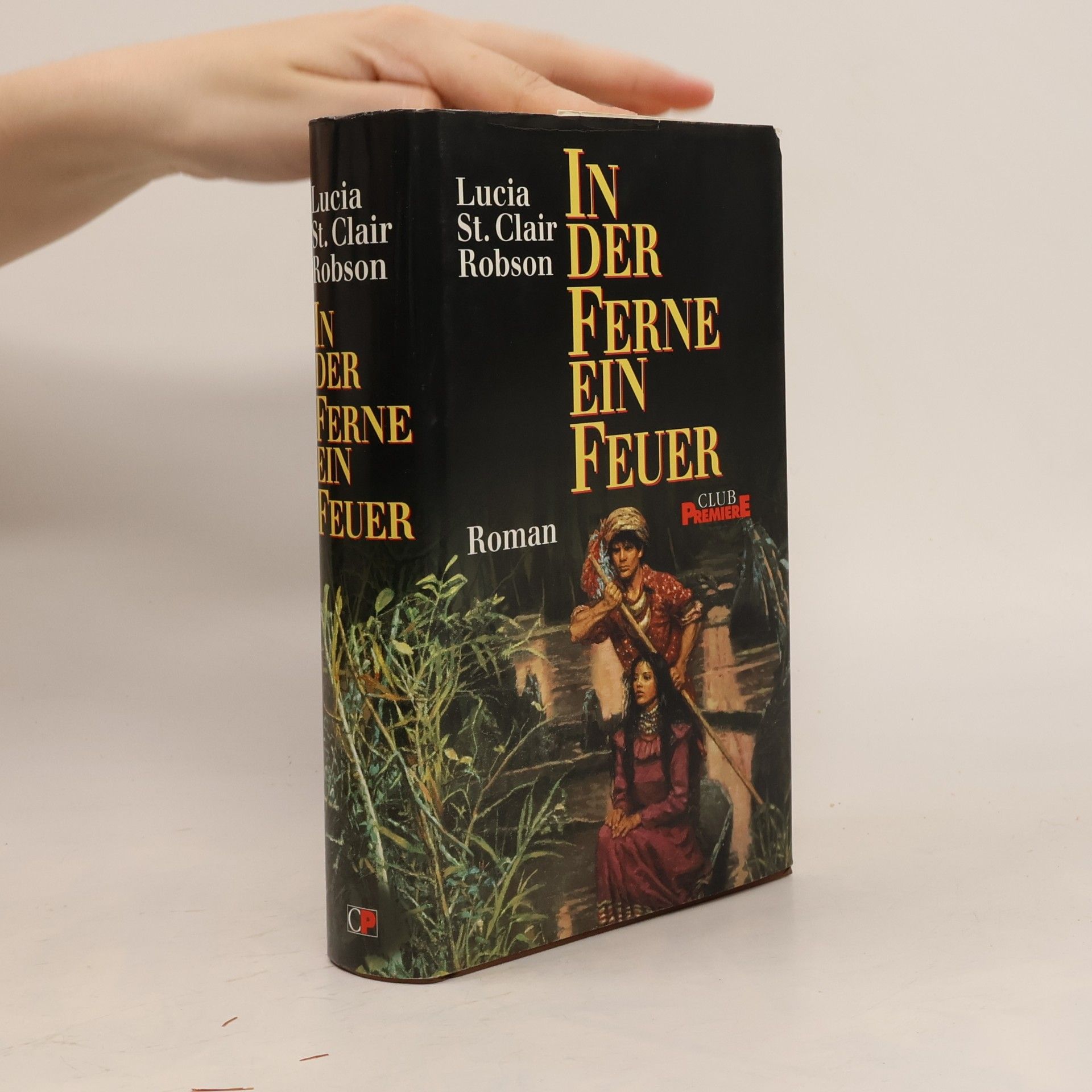 Lucia St. Clair Robson In Der Ferne Ein Feuer