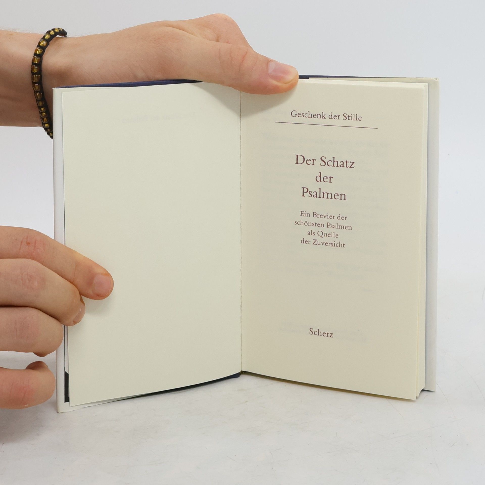 Geschenk der Stille Der Schatz der Psalmen