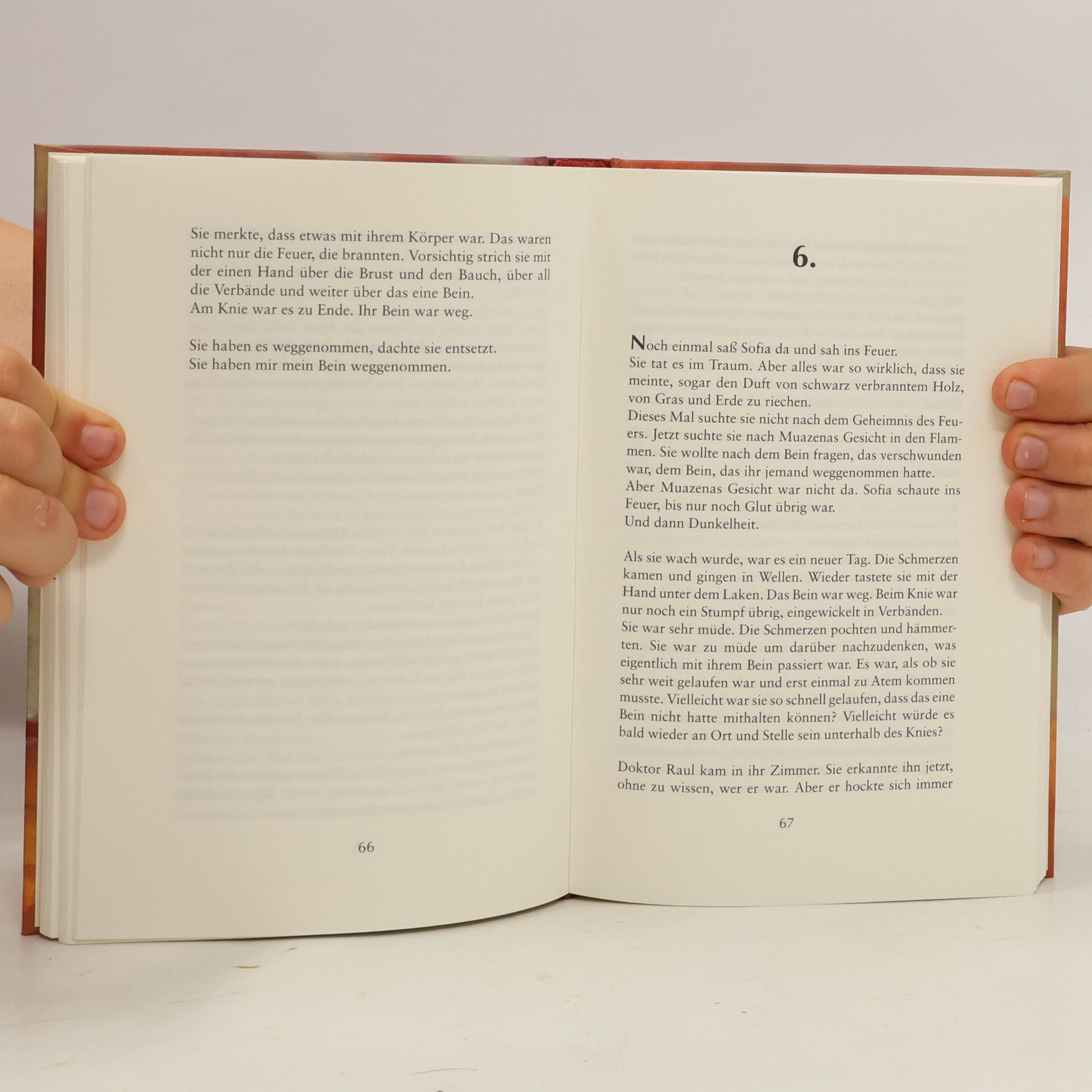 Henning Mankell Das Geheimnis des Feuers