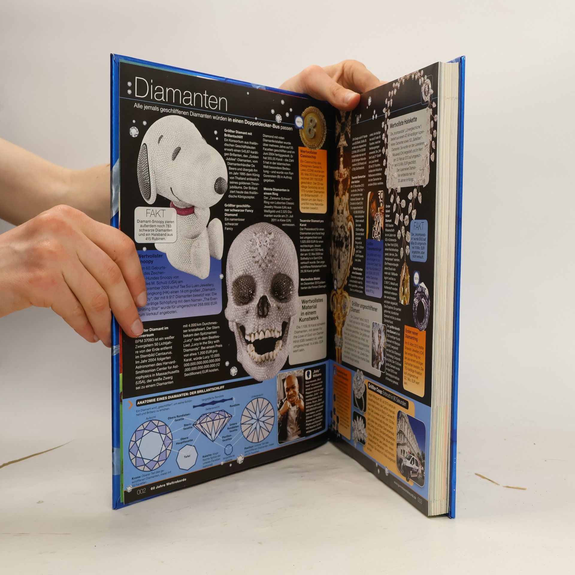 Autorenkollektiv Guinness World Records 2015