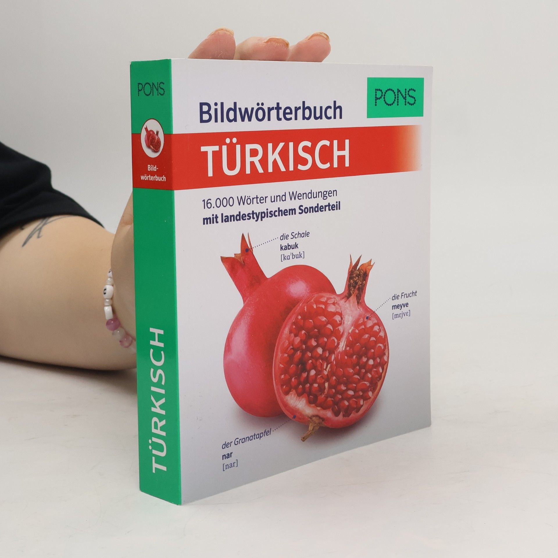 Autorenkollektiv PONS Bildwörterbuch Türkisch