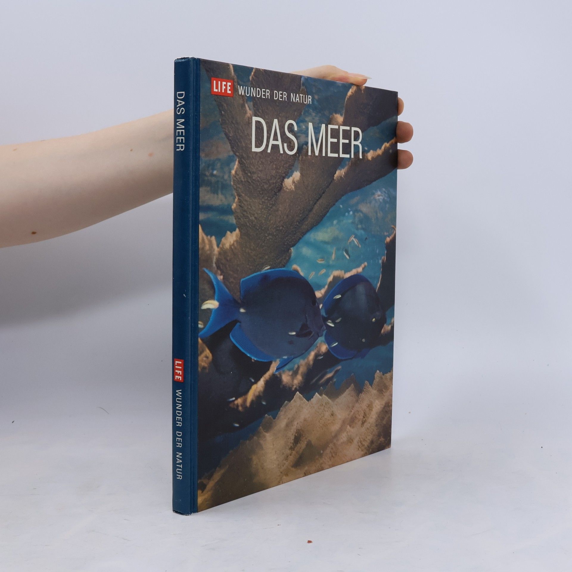 Leonard Engel Das Meer