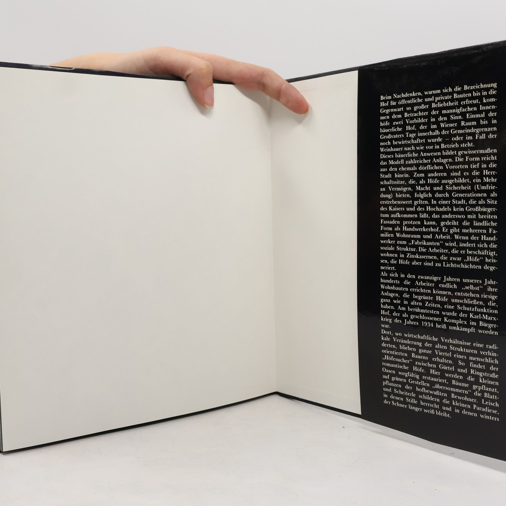 Verlag Christian Brandstätter Wiener Innenhöfe
