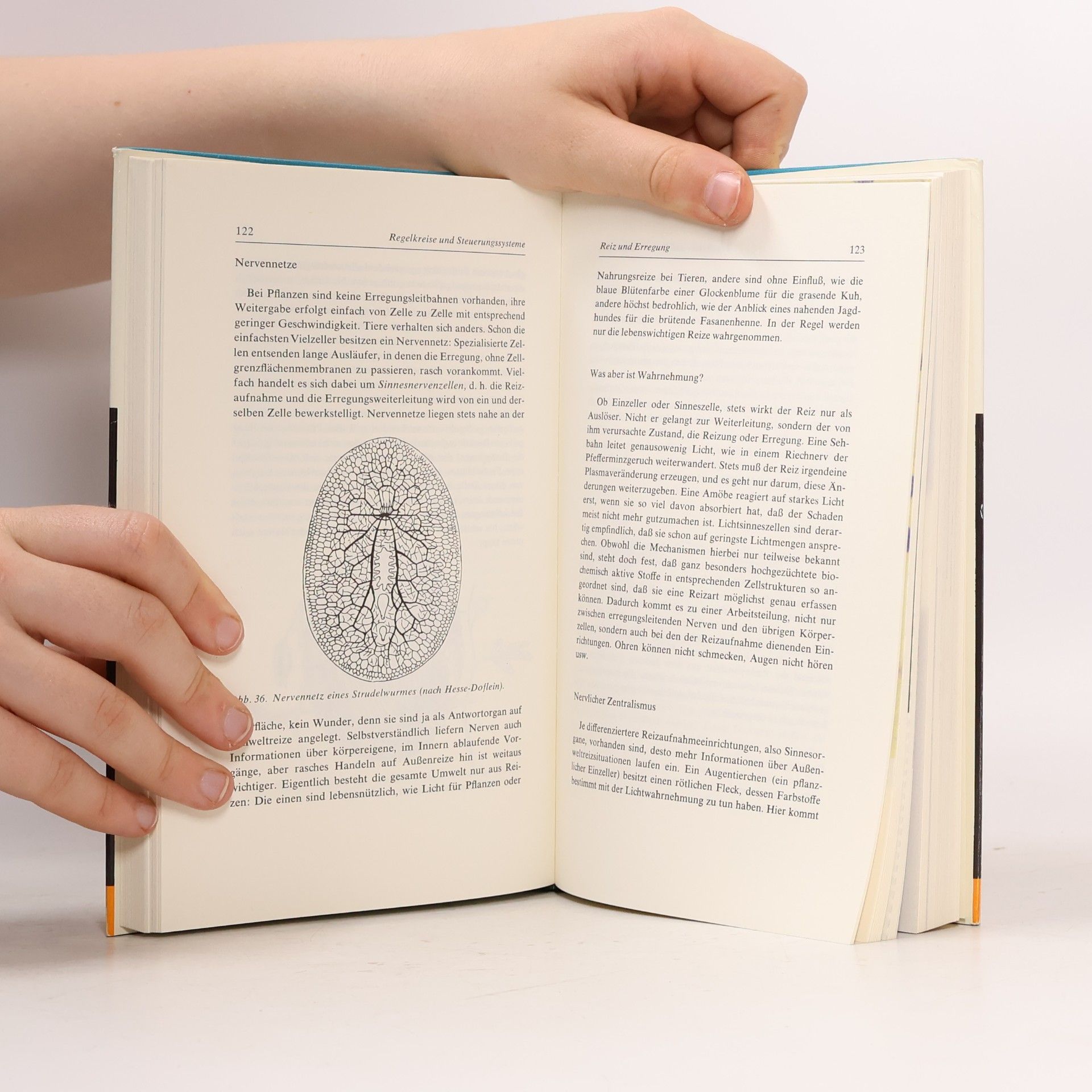 Karl Erich Graebner Biologie