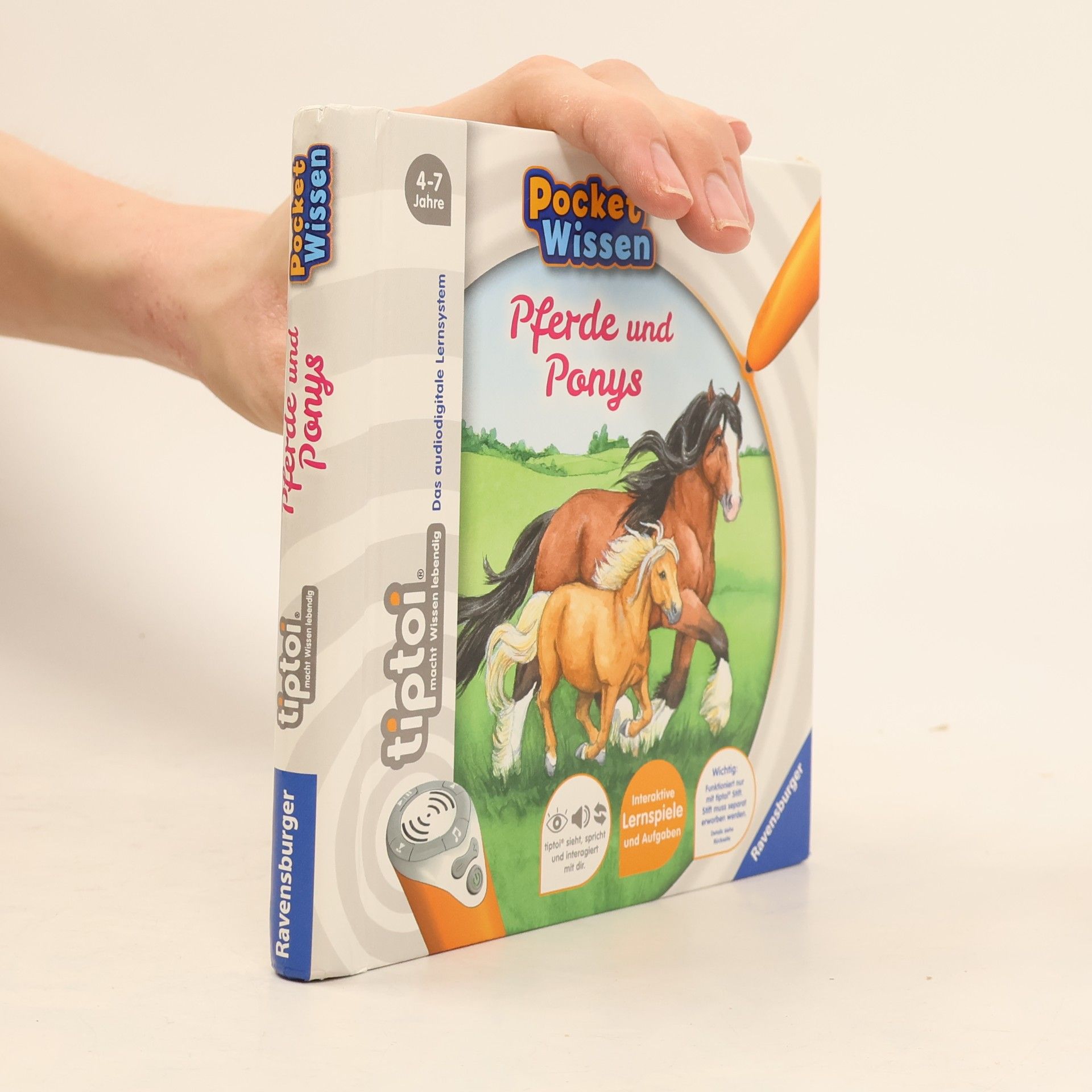 Yvonne Follert Pferde und Ponys