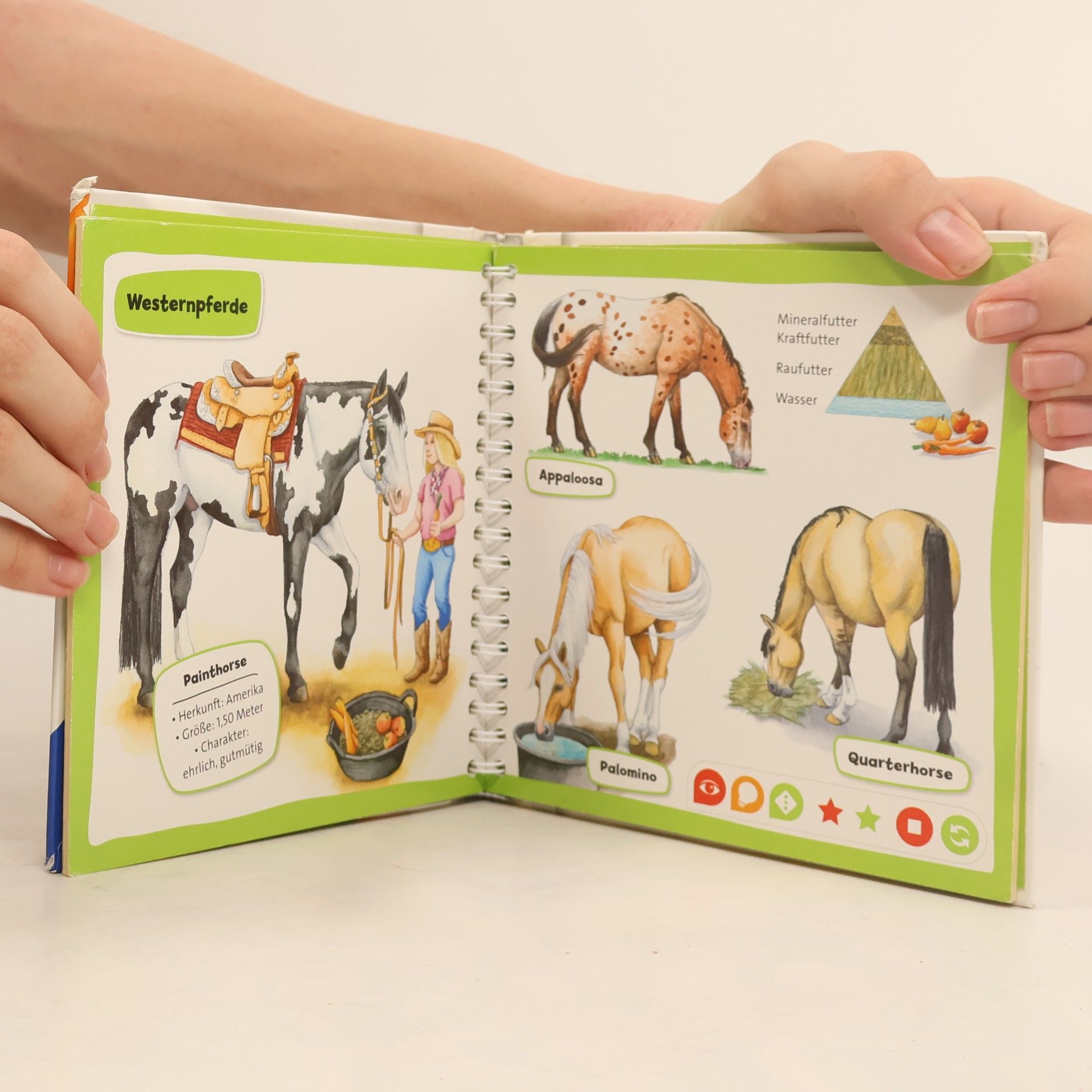Yvonne Follert Pferde und Ponys