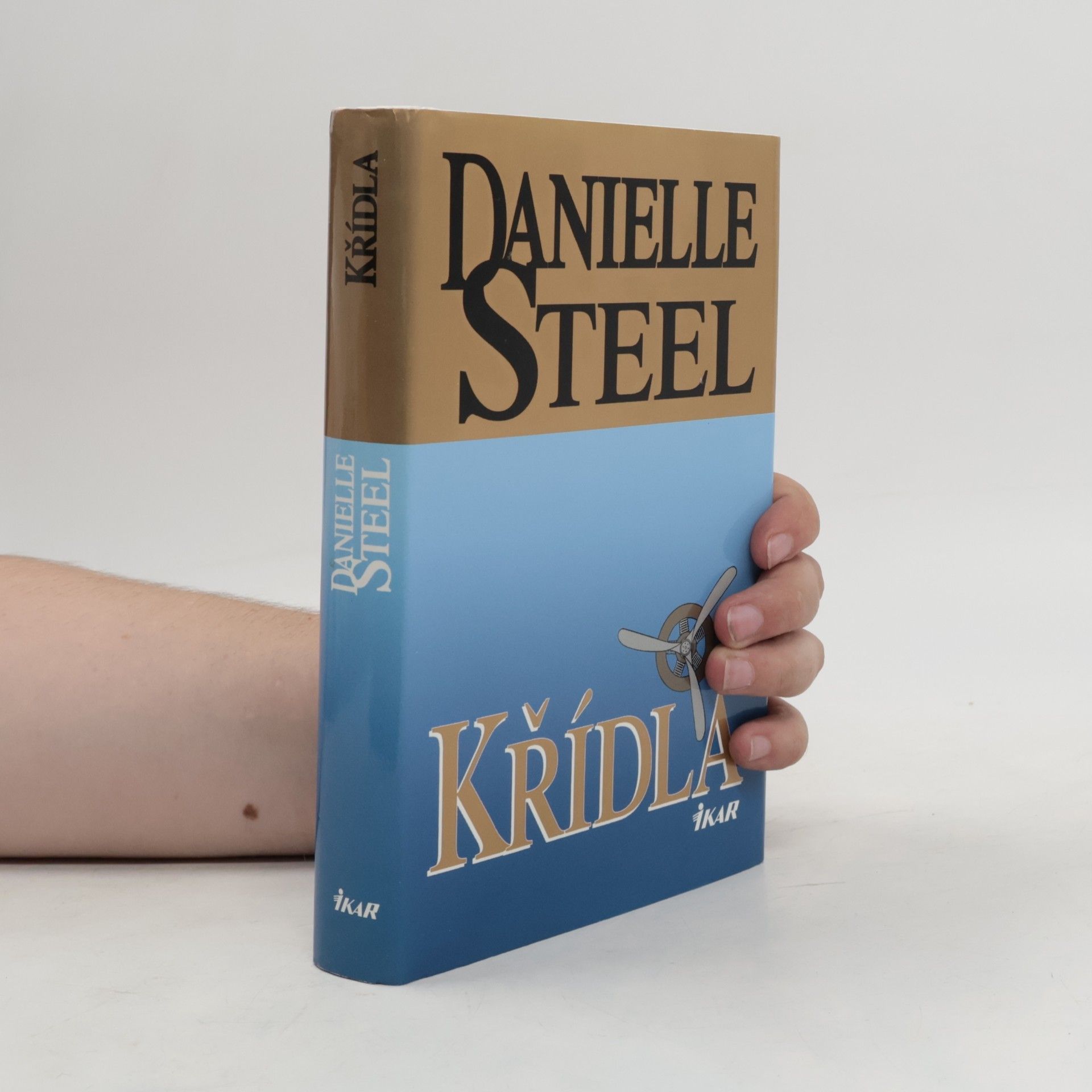 Danielle Steel Křídla