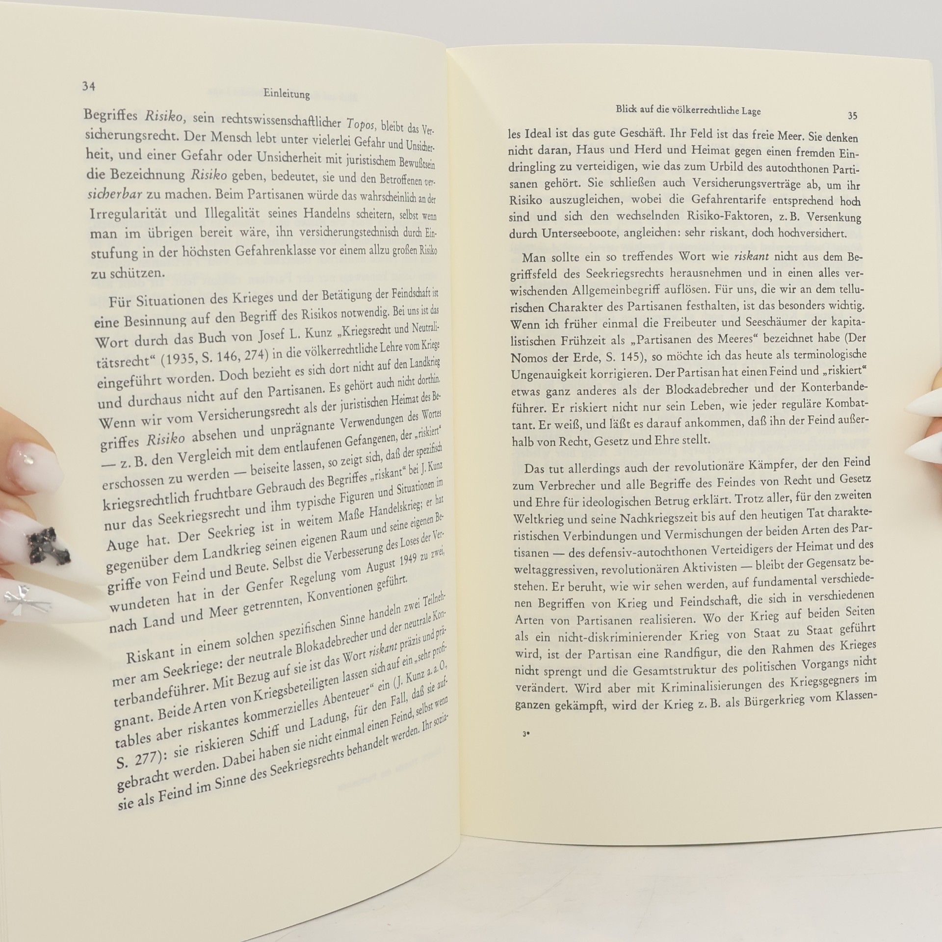Carl Schmitt Theorie des Partisanen