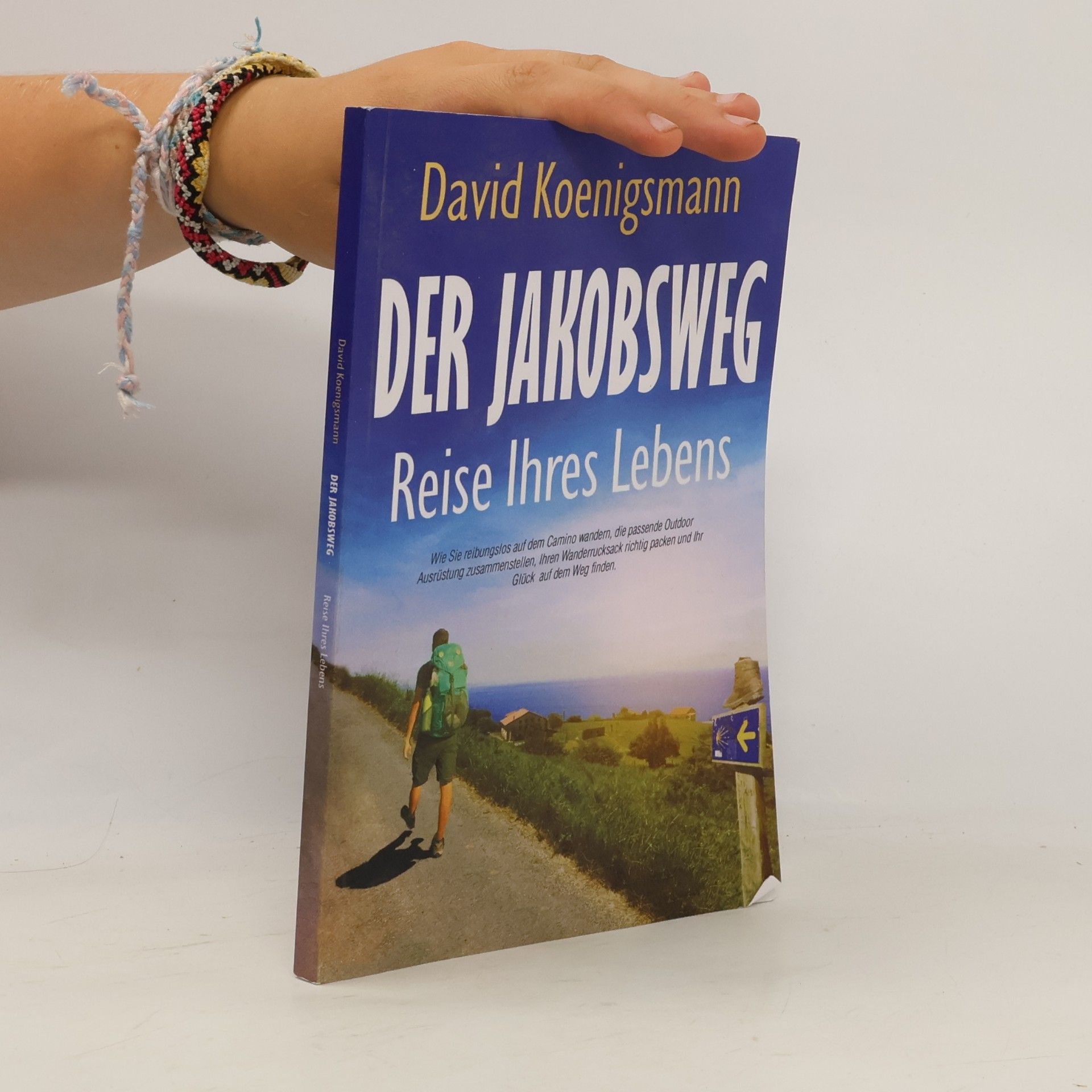 David Koenigsmann Der Jakobsweg