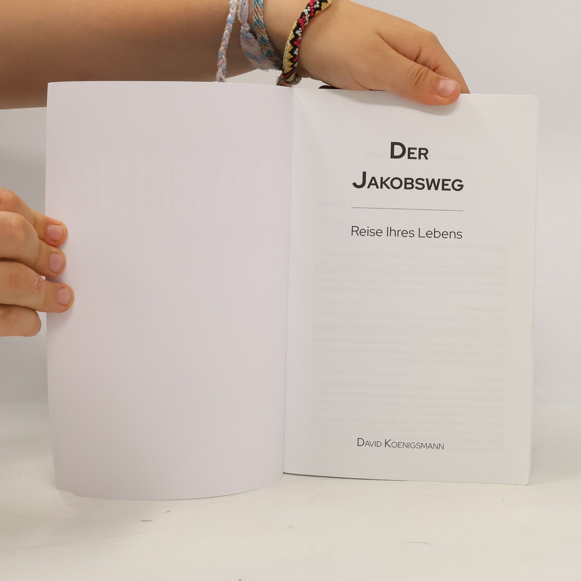 David Koenigsmann Der Jakobsweg