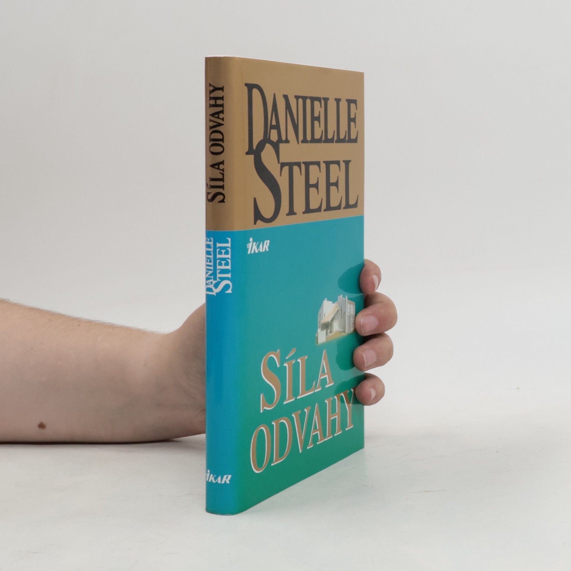 Danielle Steel Síla odvahy