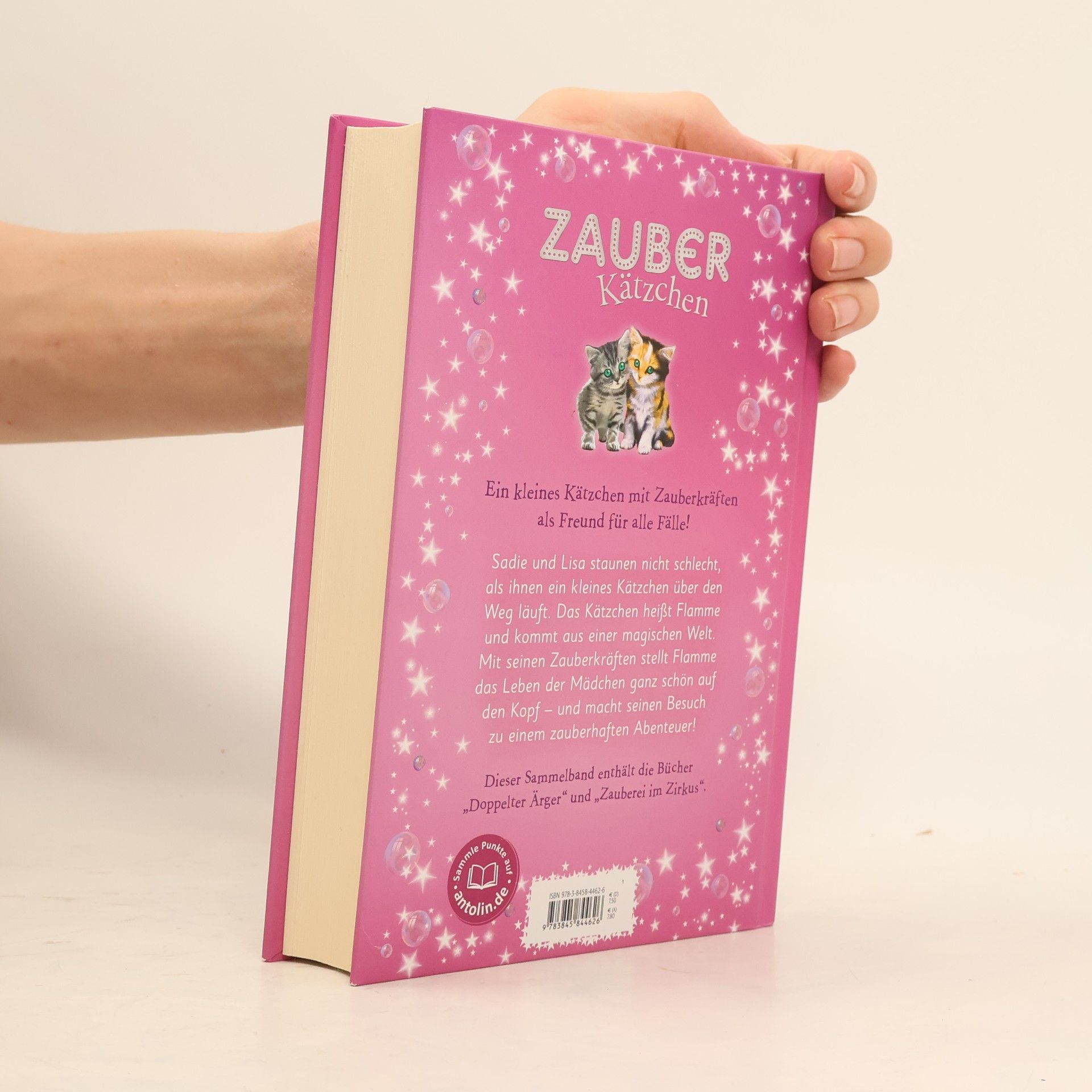Sue Bentley Zauberkätzchen - Abenteuer auf vier Pfötchen