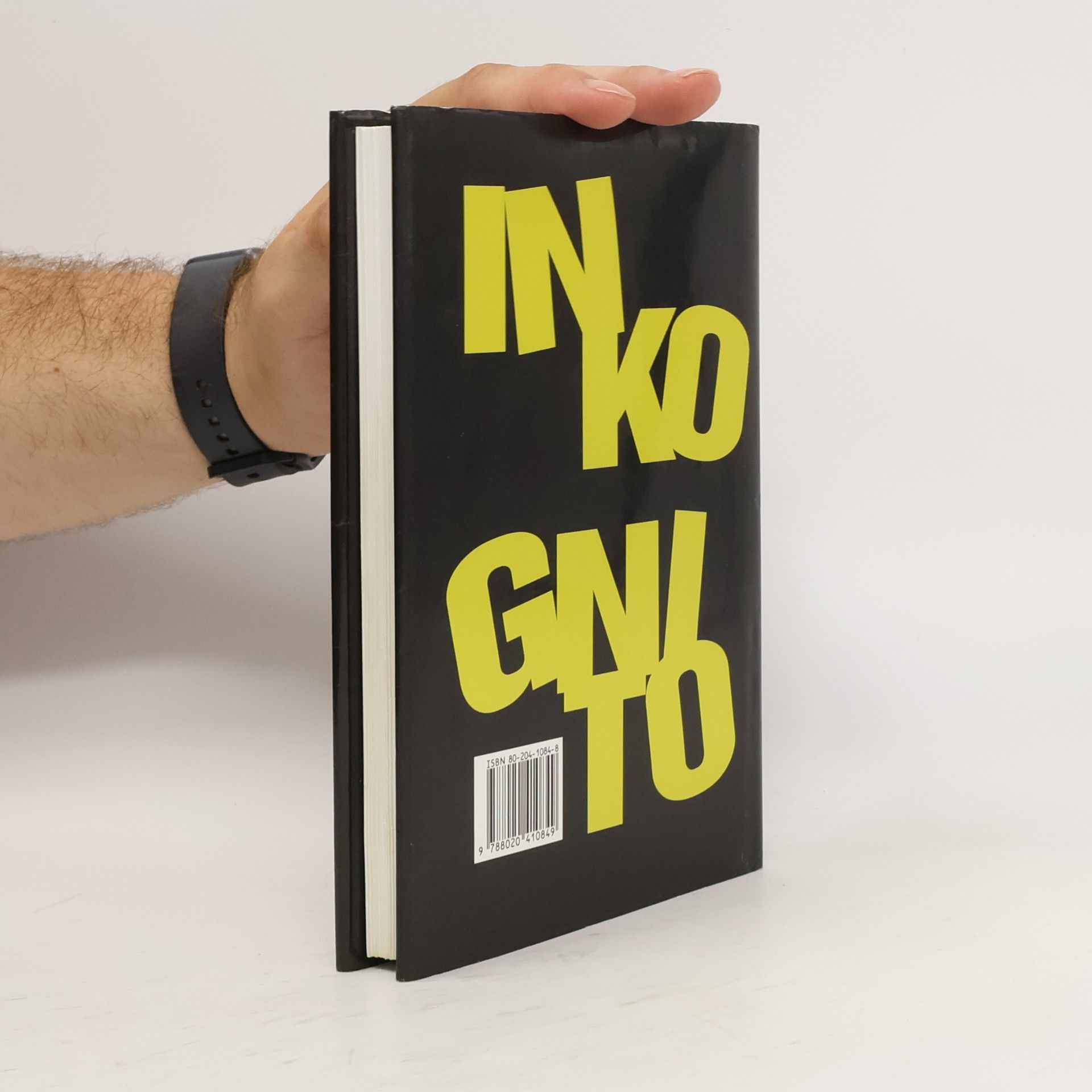 Sue Townsend Inkognito