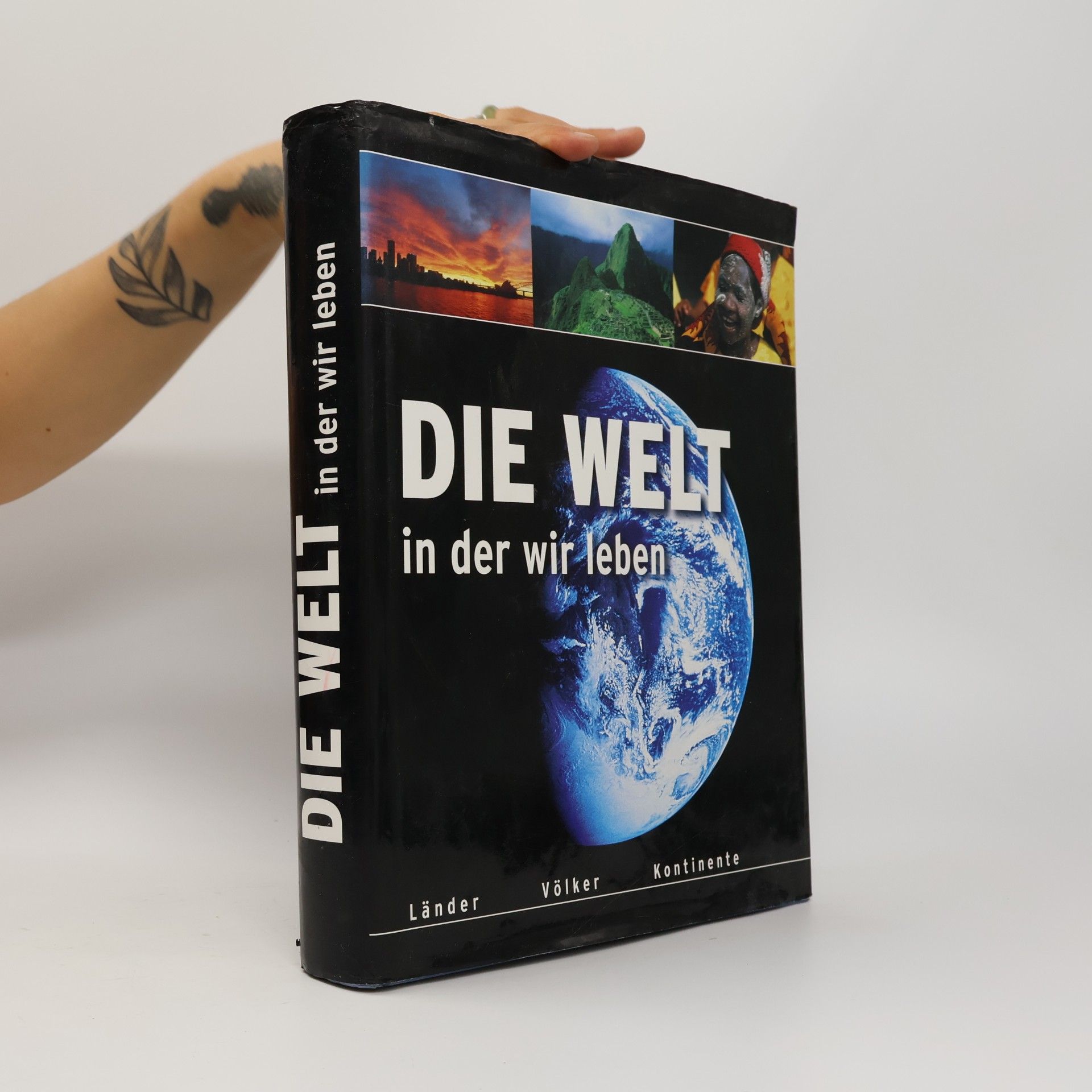Die Welt in der wir leben