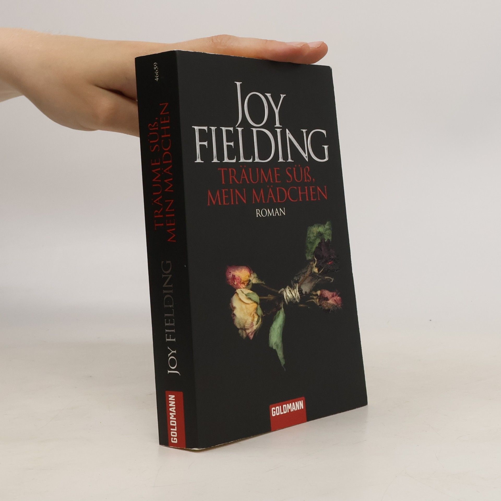 Joy Fielding Träume süss, mein Mädchen