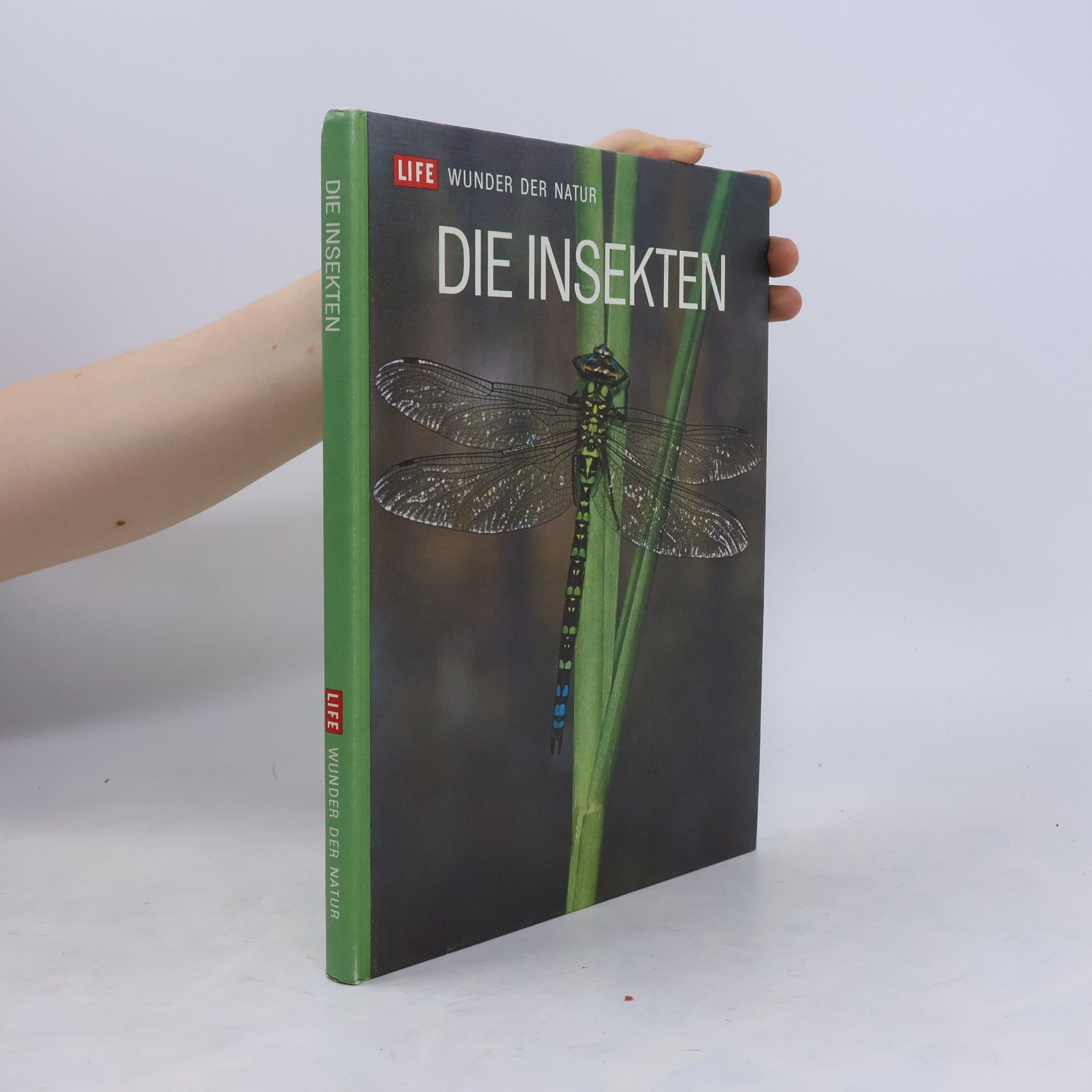 Collectif d'auteurs Die Insekten