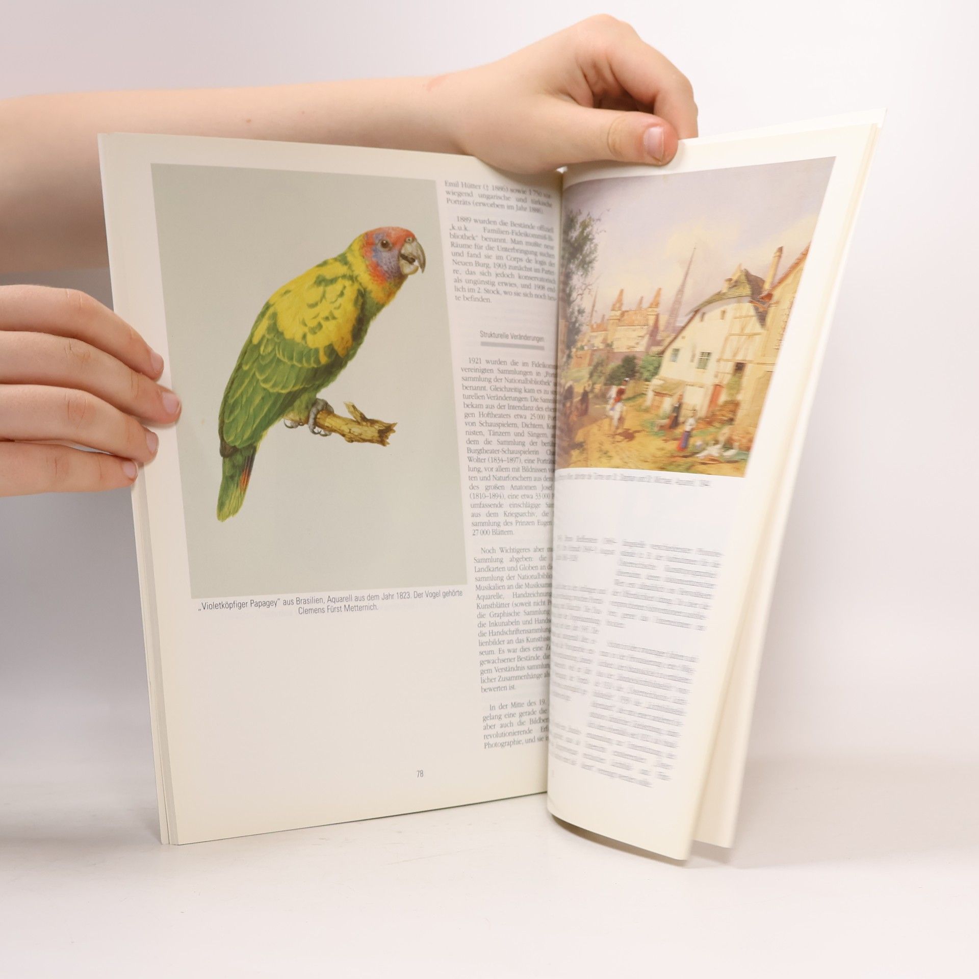 Various authors "Schatzhauser Österreichs" die Österreichische Nationalbibliothek