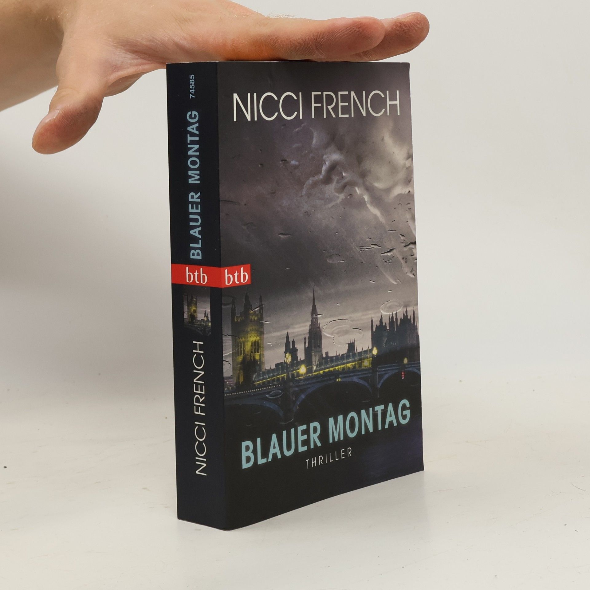 Nicci French Blauer Montag